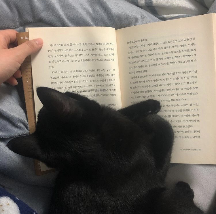 관심 유저 프로필 이미지