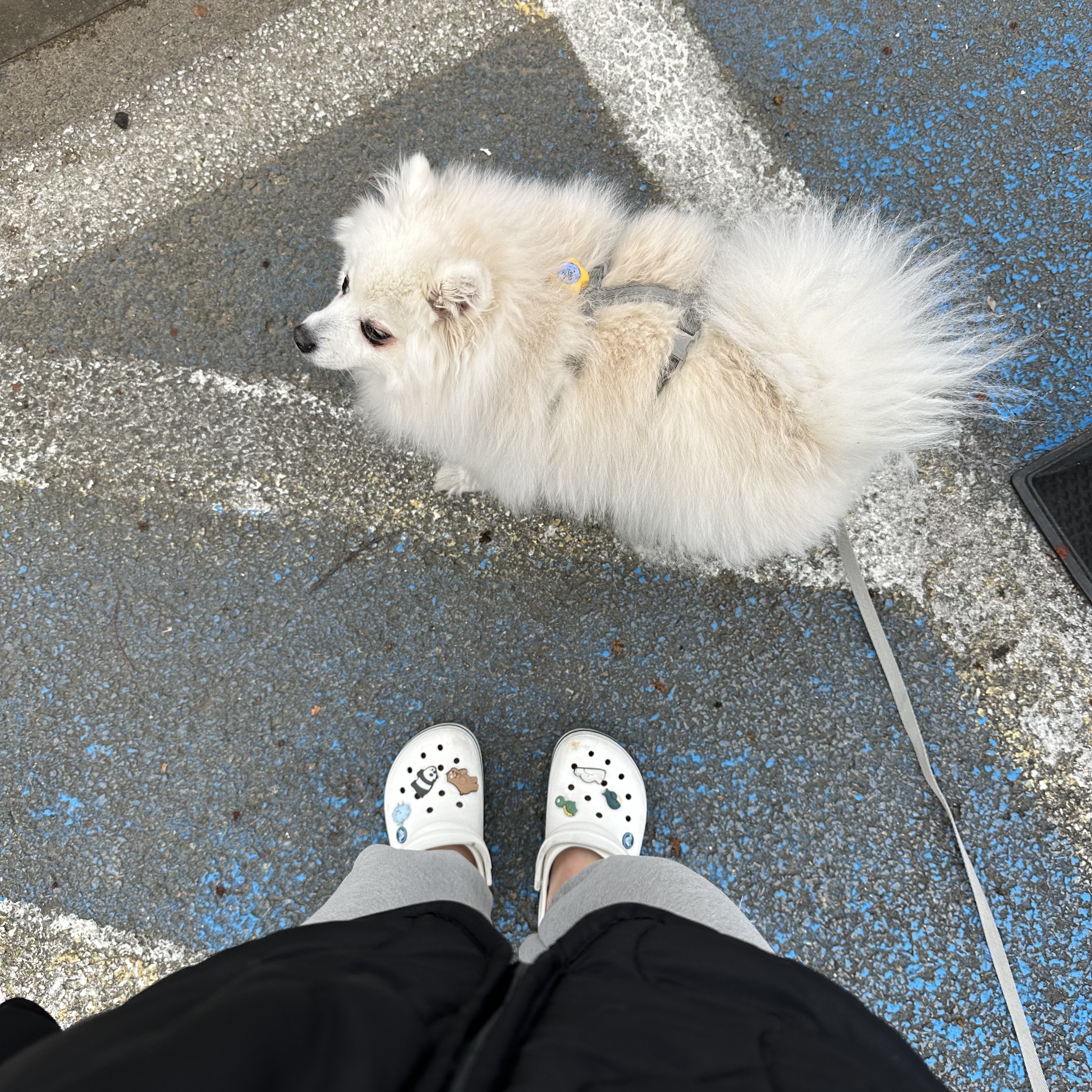 Crocs Crocband Clog White 착용 스타일