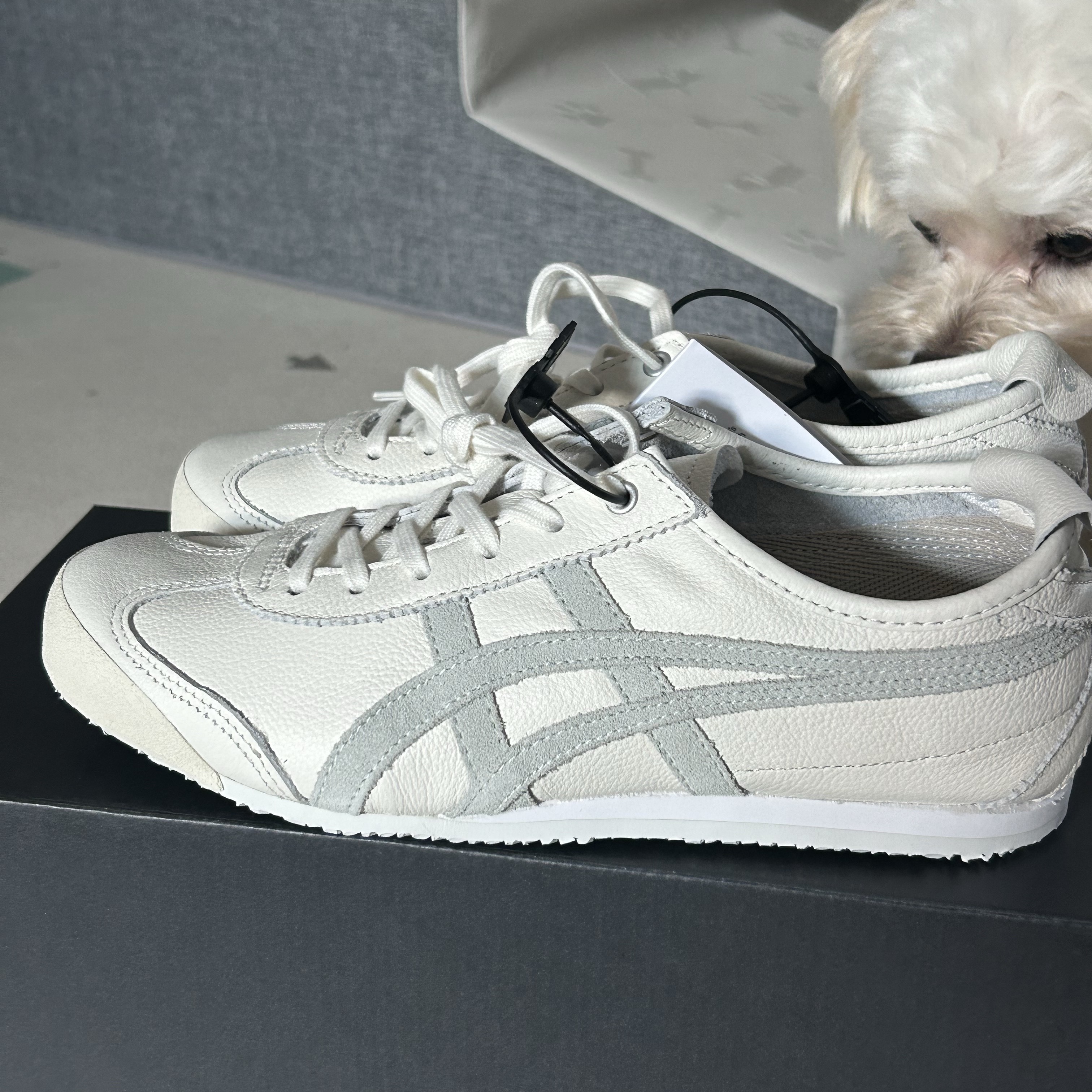 Onitsuka Tiger Mexico 66 White Light Sage 착용 스타일