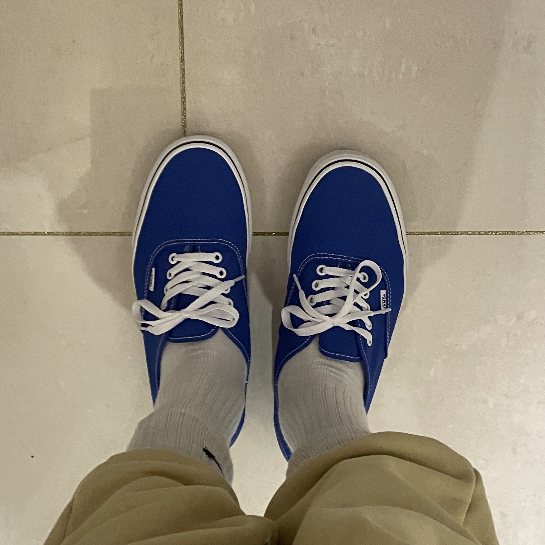 Vans Authentic Color Theory Dazzling Blue 착용 스타일