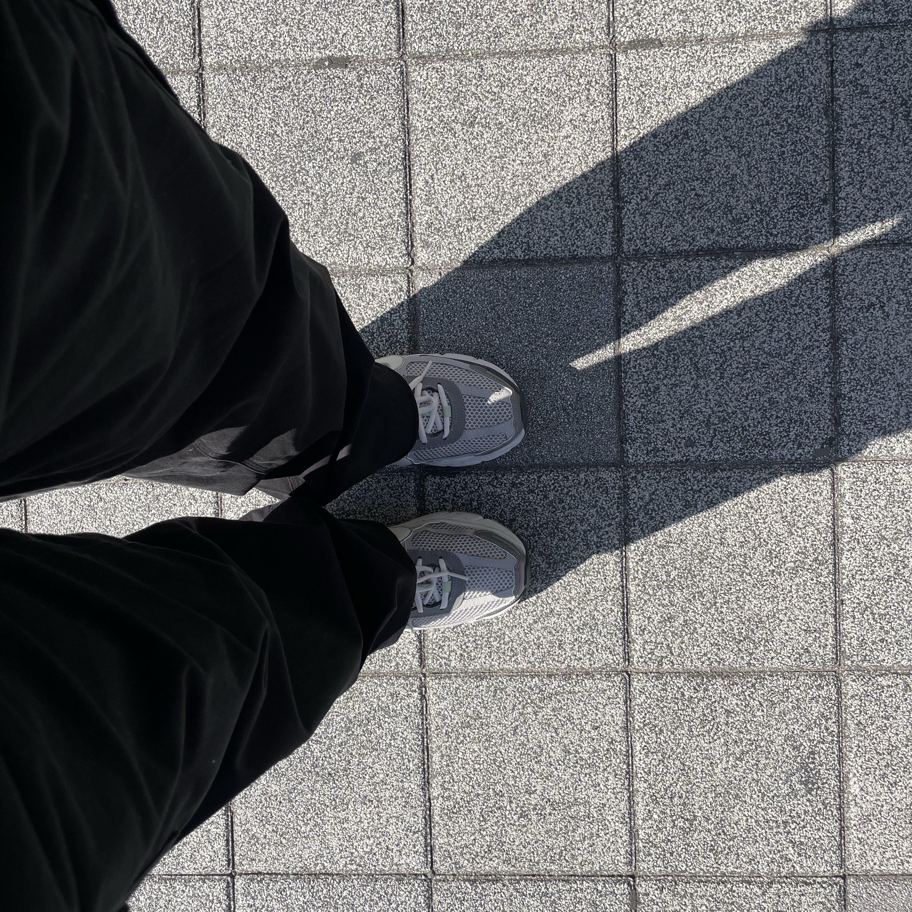 (W) Nike Zoom Vomero 5 Cobblestone and Flat Pewter 착용 스타일