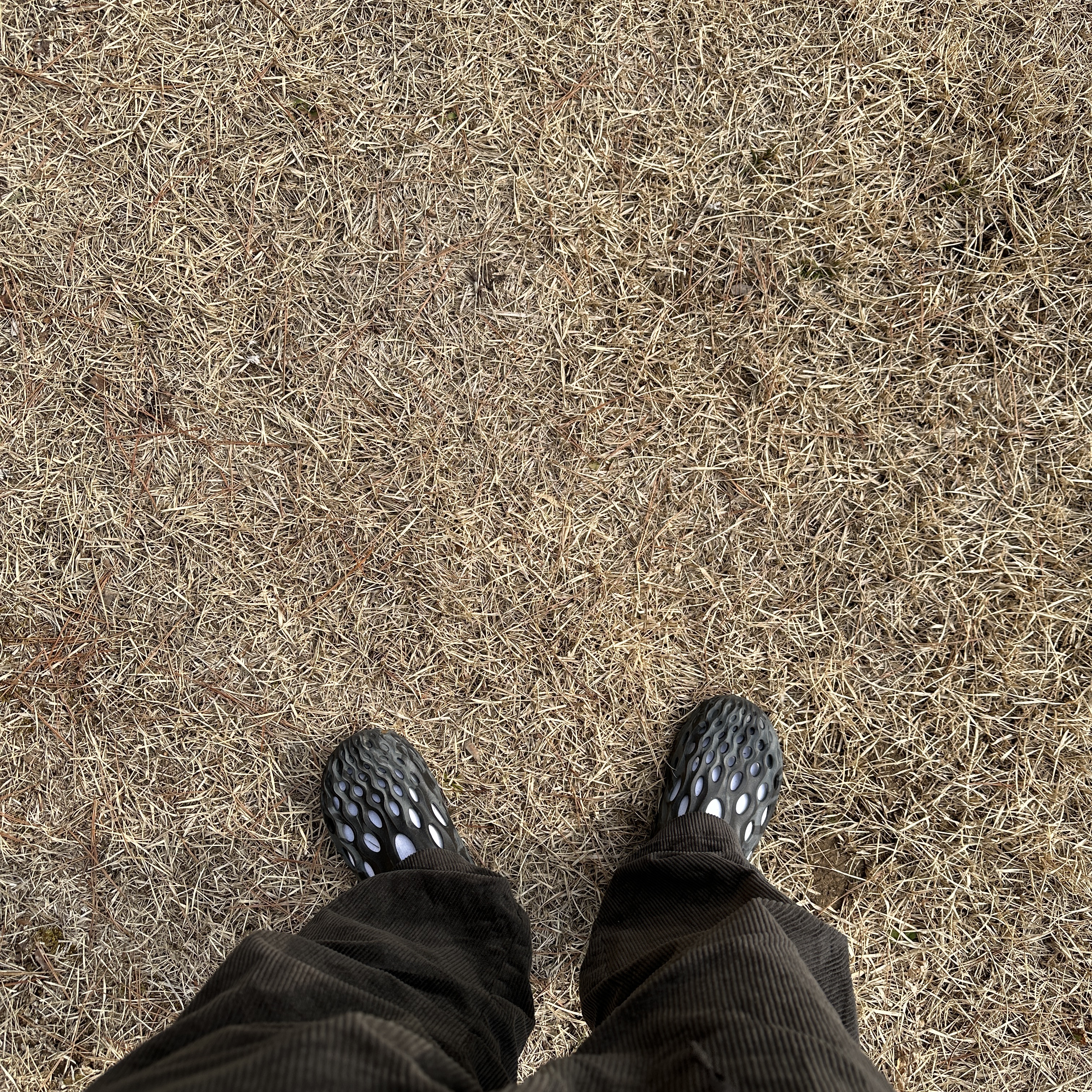 Merrell Hydro Moc Black 착용 스타일
