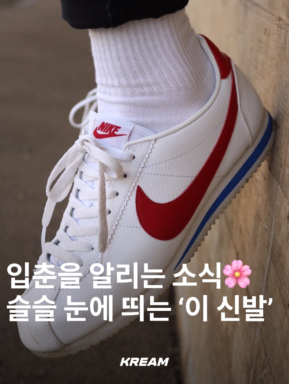 (GS) Nike Cortez Basic SL Forrest Gump, (GS) Nike Cortez Basic SL White Black 착용 스타일 - 1