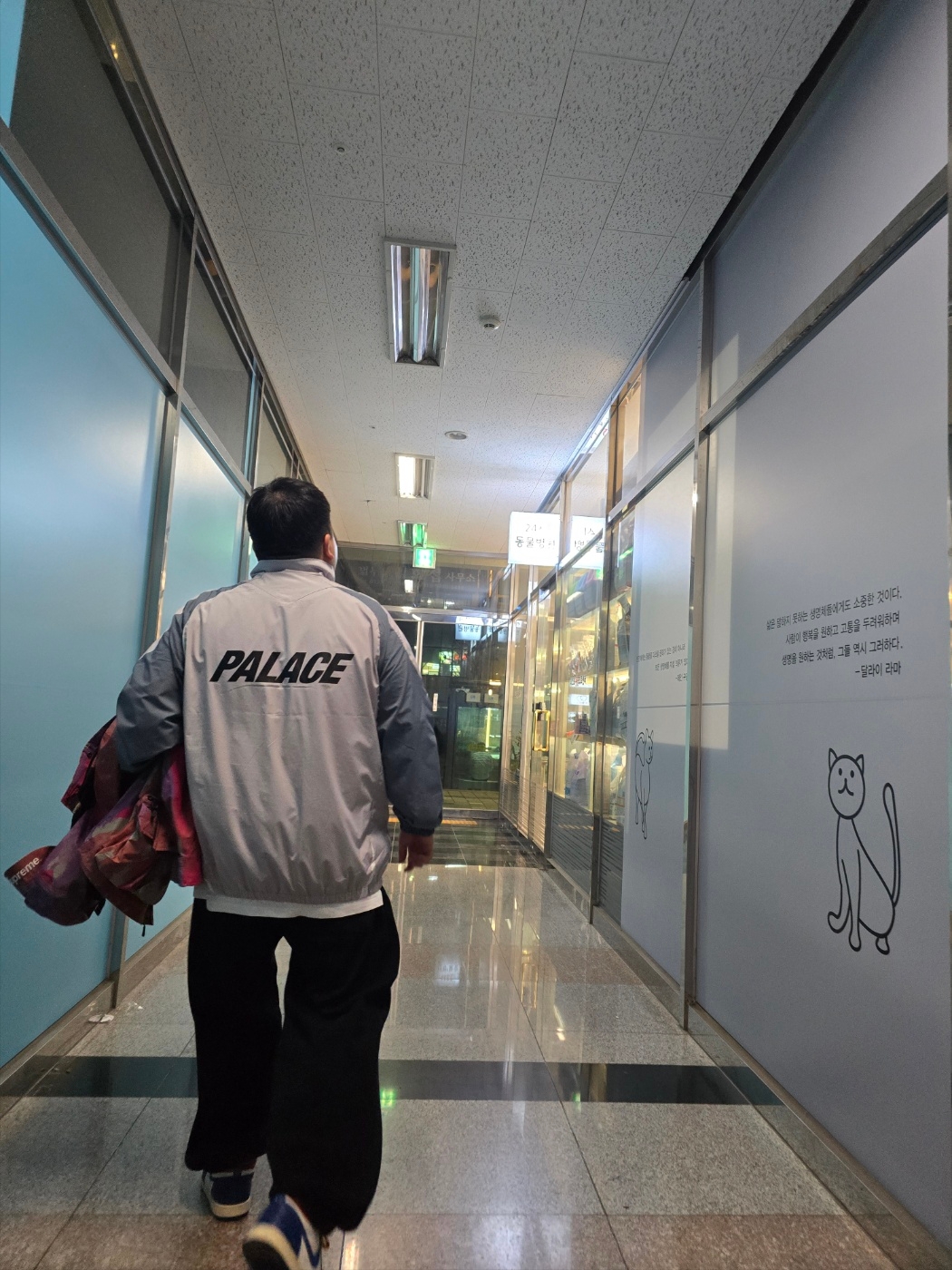 Palace Pro Shell Jacket Grey - 23FW, Supreme x The North Face Cargo Jacket Multi-Color - 20SS 착용 스타일