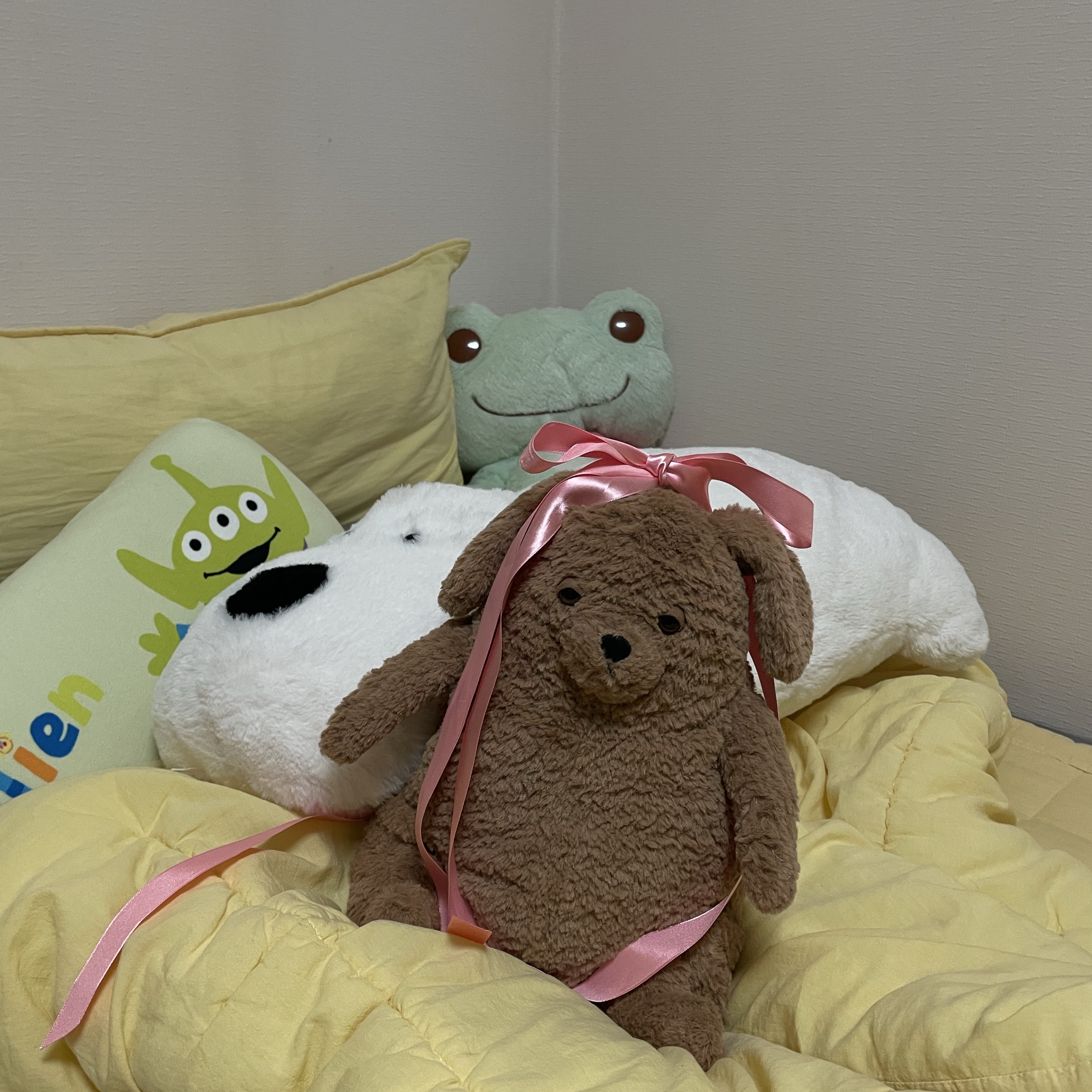 Jellycat Amore Dog Brown 착용 스타일 - 3