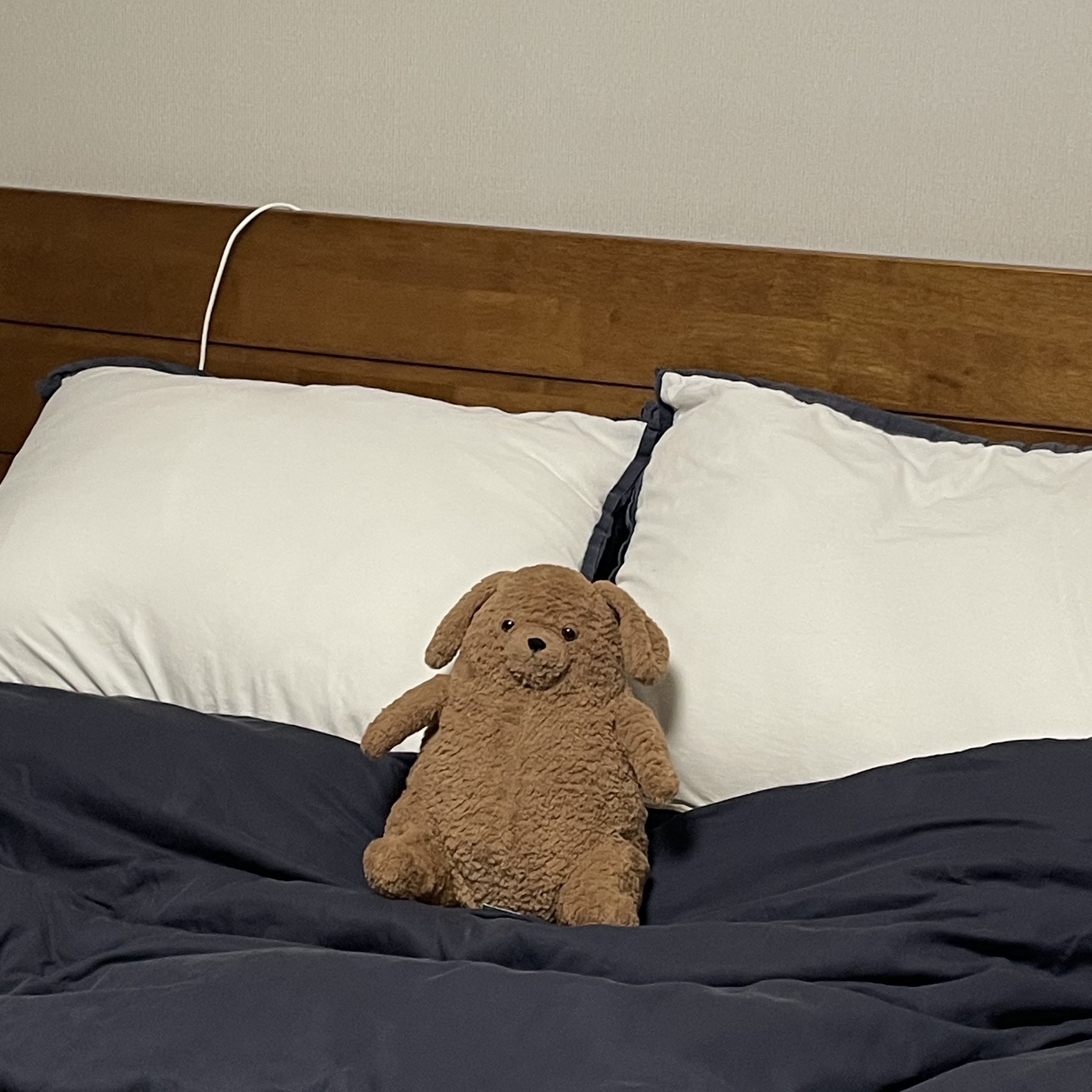 Jellycat Amore Dog Brown 착용 스타일 - 8