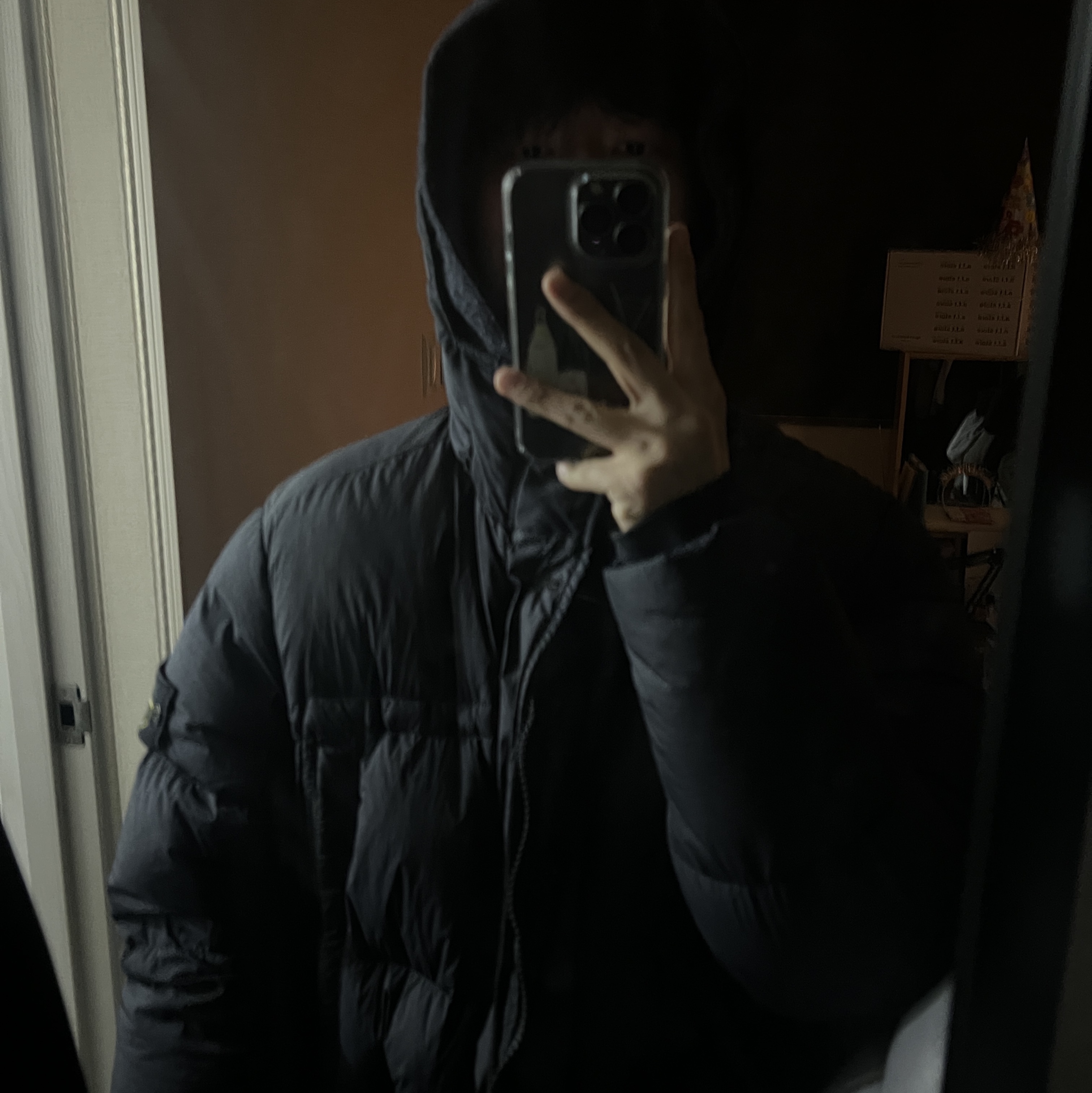 Stone Island 20744 Garment Dyed Long Sleeve T-Shirt Powder Blue - 21SS, Stone Island 70123 Crinkle Reps Hooded Long Down Jacket Dark Grey - 20FW 착용 스타일