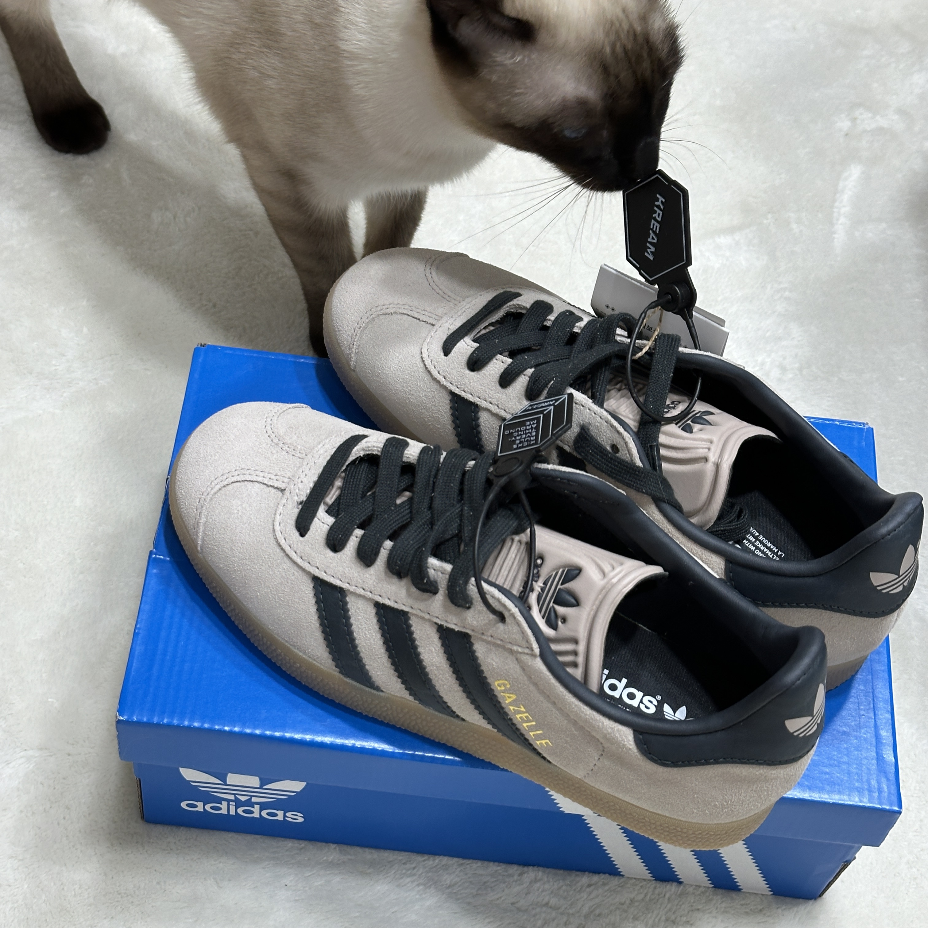 Adidas Gazelle Wonder Taupe Night Indigo 착용 스타일