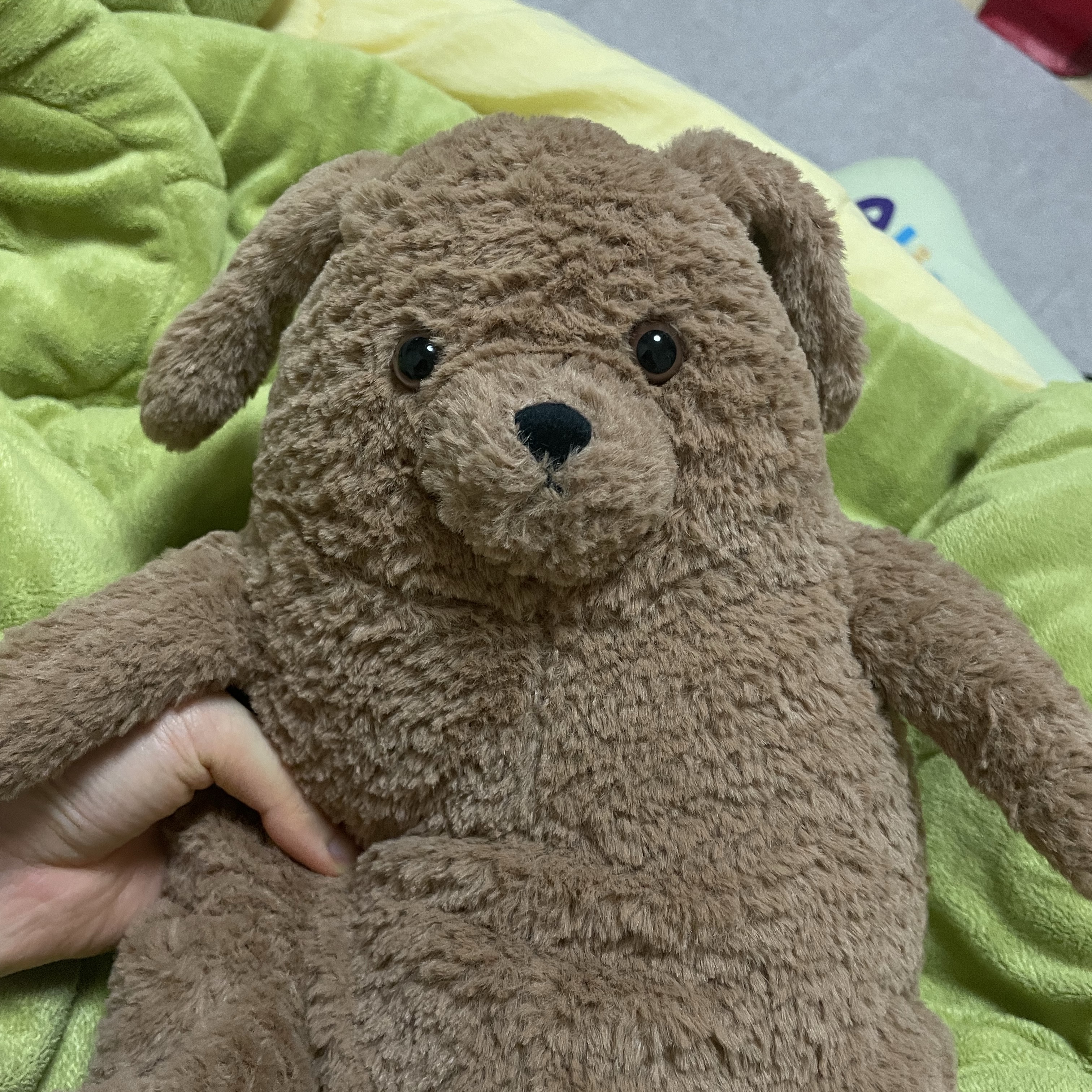 Jellycat Amore Dog Brown 착용 스타일 - 6