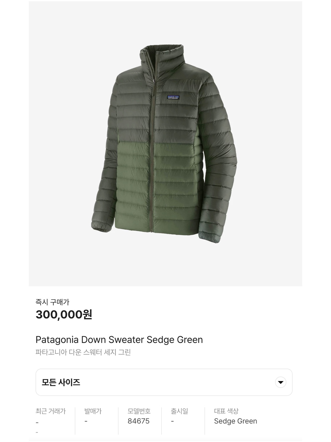 Patagonia Down Sweater Sedge Green, Patagonia Down Sweater Hoody Basin Green 착용 스타일 - 7