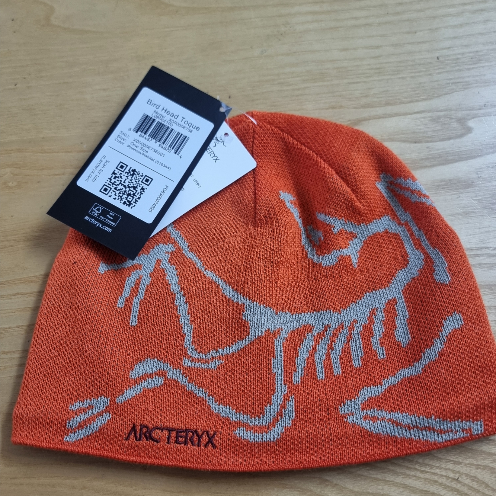Arc'teryx Bird Head Toque Phenom 착용 스타일 - 1