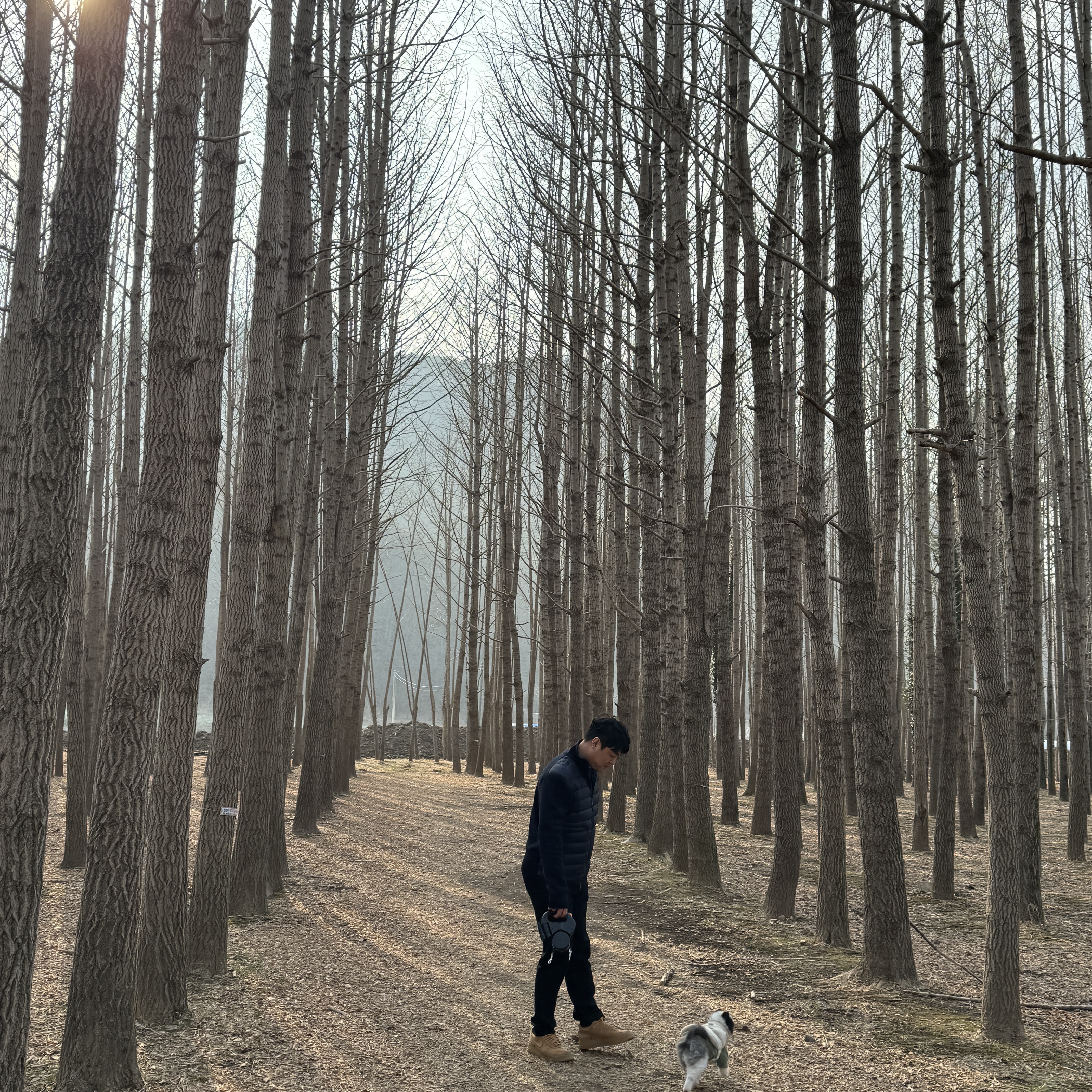 Moncler Padded Wool Cardigan Navy Blue - 23FW 착용 스타일