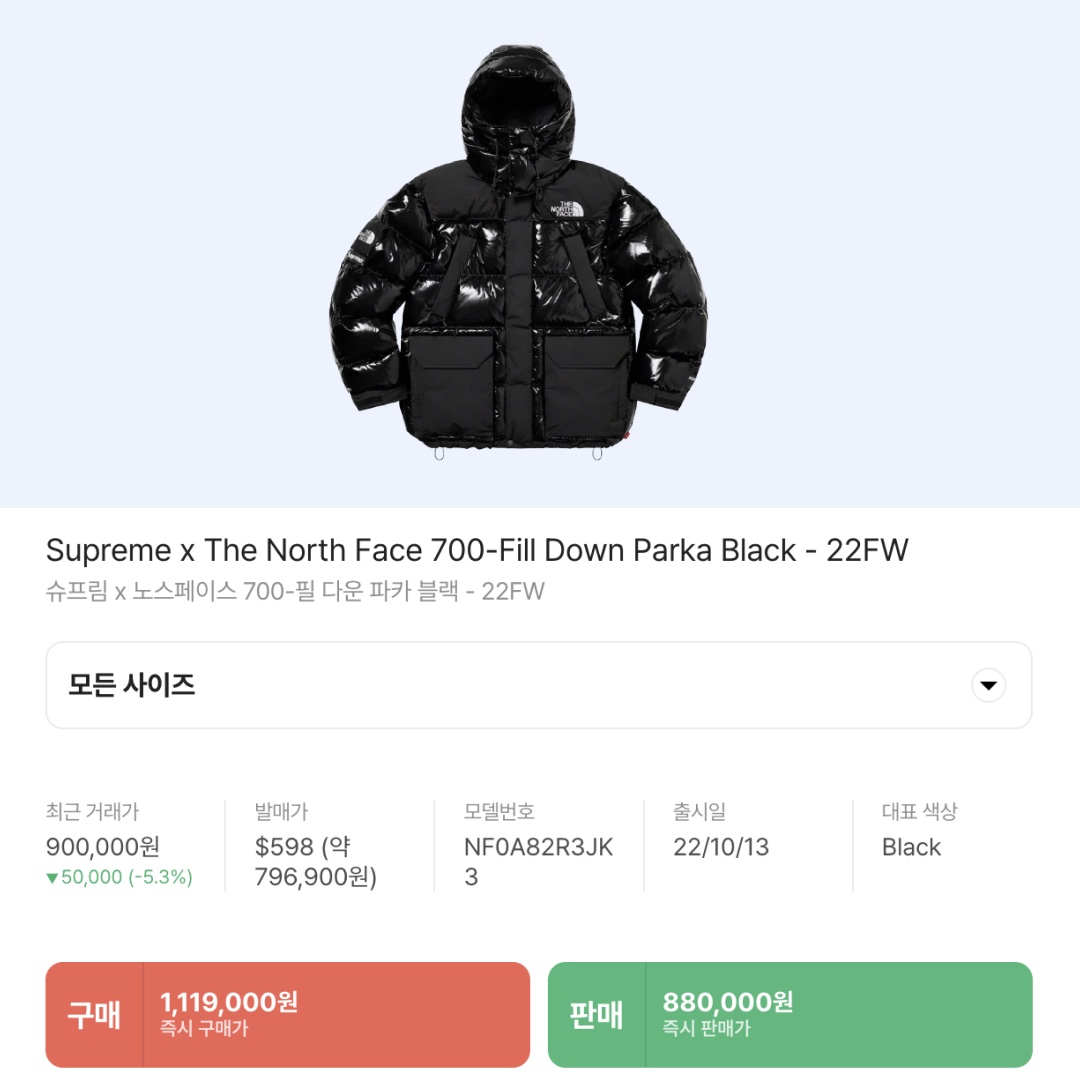 Supreme x The North Face 700-Fill Down Parka Black - 22FW 착용 스타일 - 2