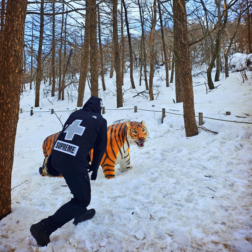 Supreme x The North Face Summit Series Rescue Mountain Pro Jacket Black - 22SS, Supreme x The North Face Trompe L'oeil Printed Montana Mitt Black - 23SS 착용 스타일 - 3