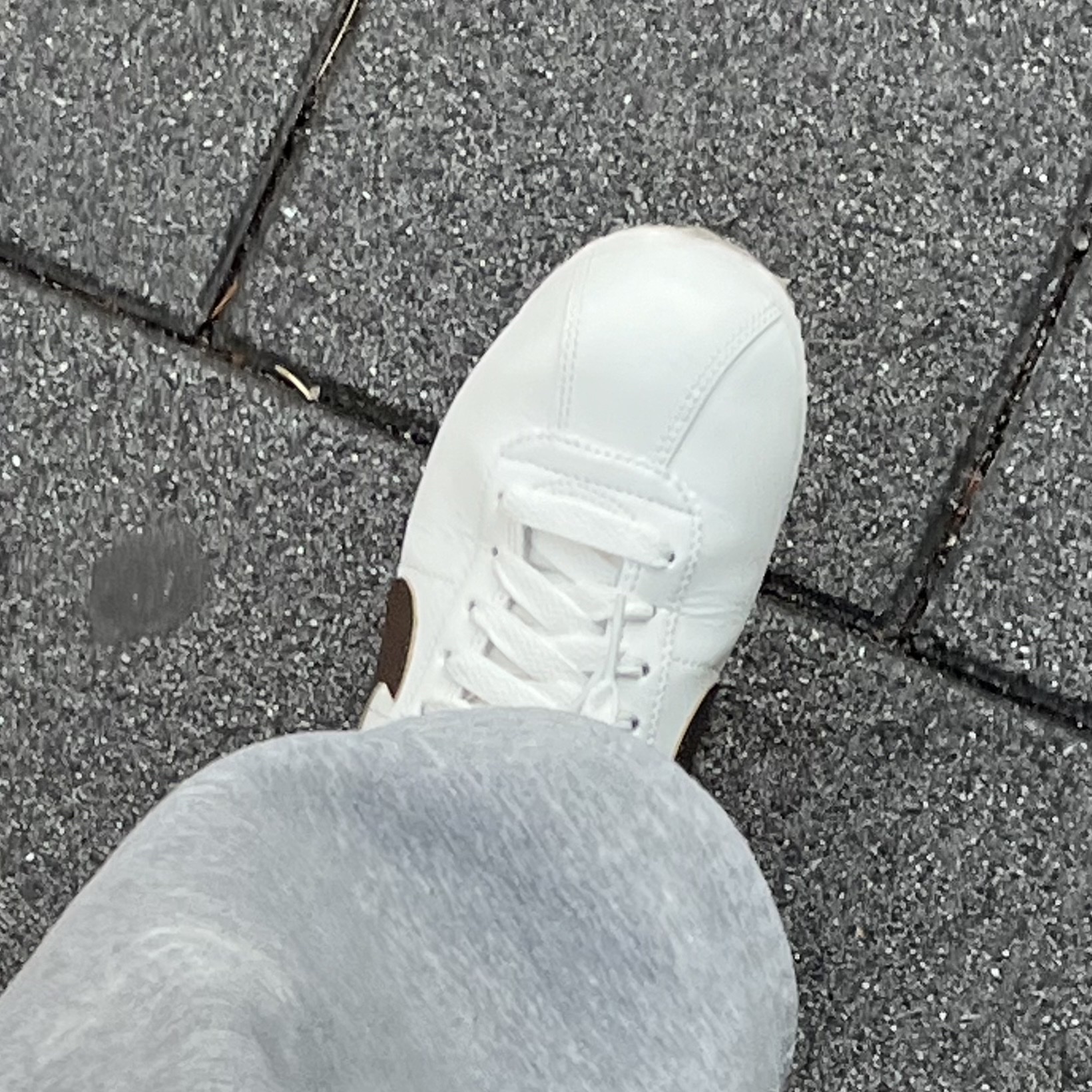 (W) 나이키 코르테즈 세일 카카오 와우 착용 스타일