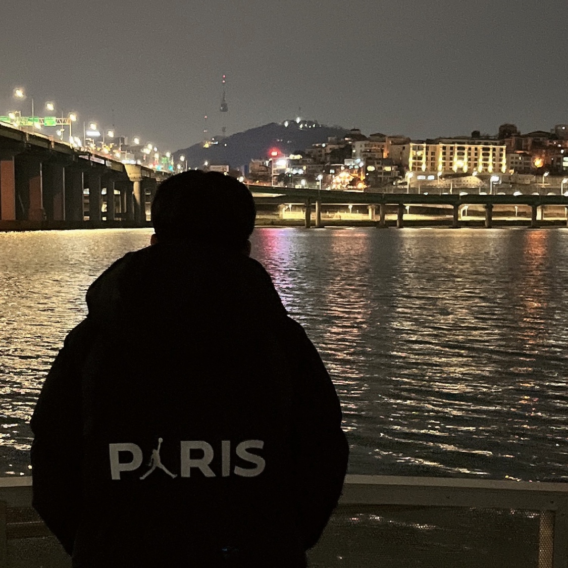 Jordan x Paris Saint-Germain Puffer Jacket Black - Asia 착용 스타일