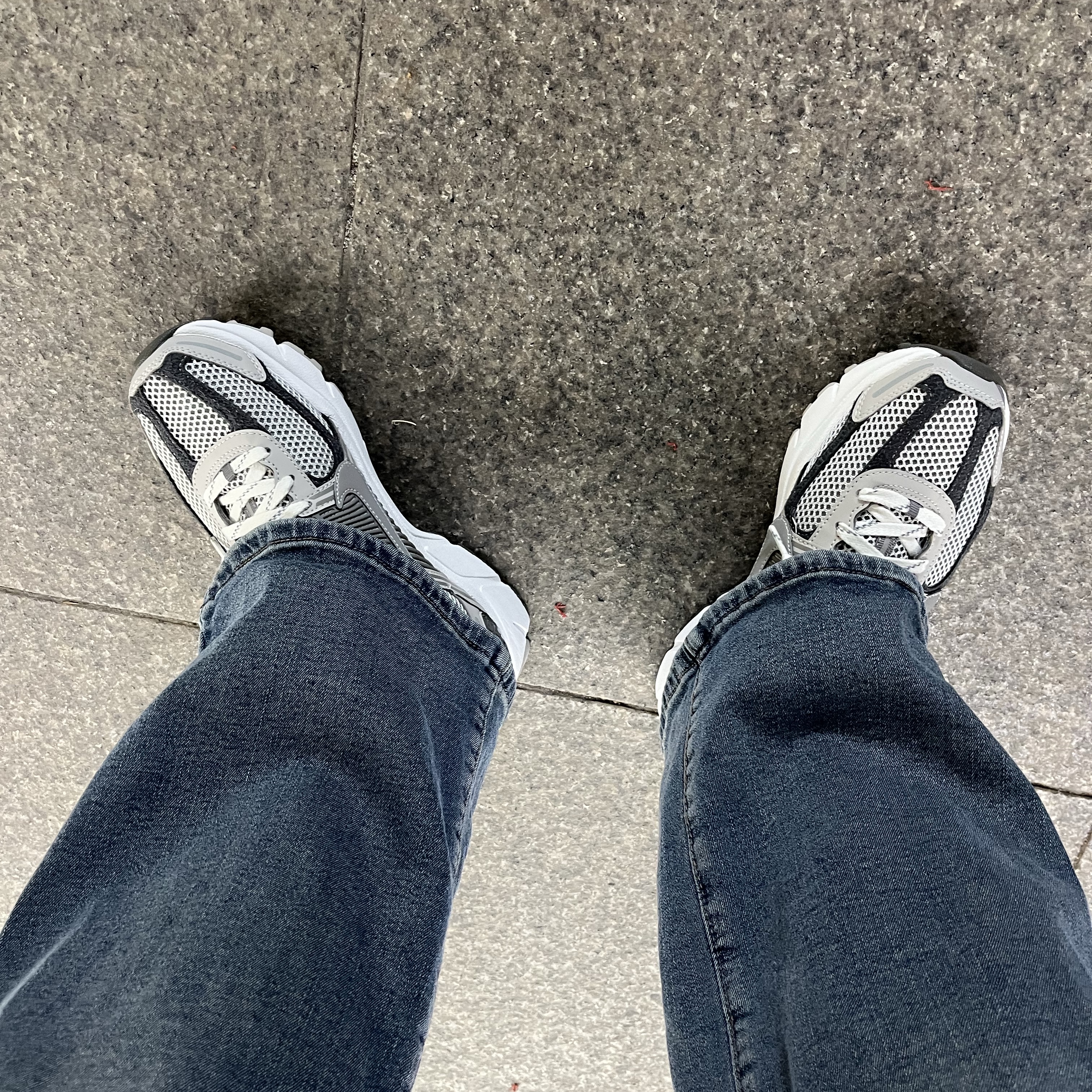 Nike Zoom Vomero 5 PRM Light Iron Ore and Flat Fewter 착용 스타일