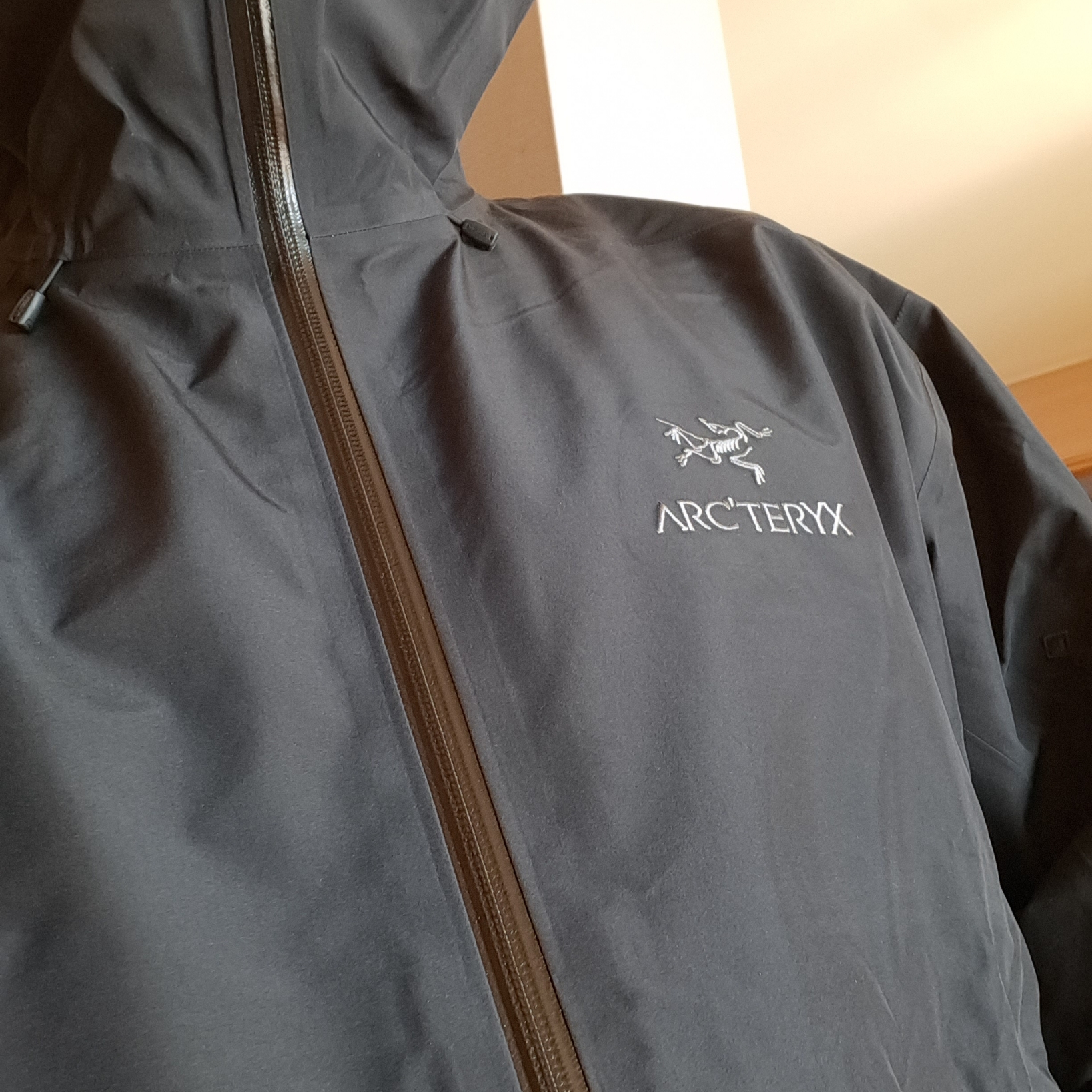 Arc'teryx Beta LT Jacket Black 착용 스타일