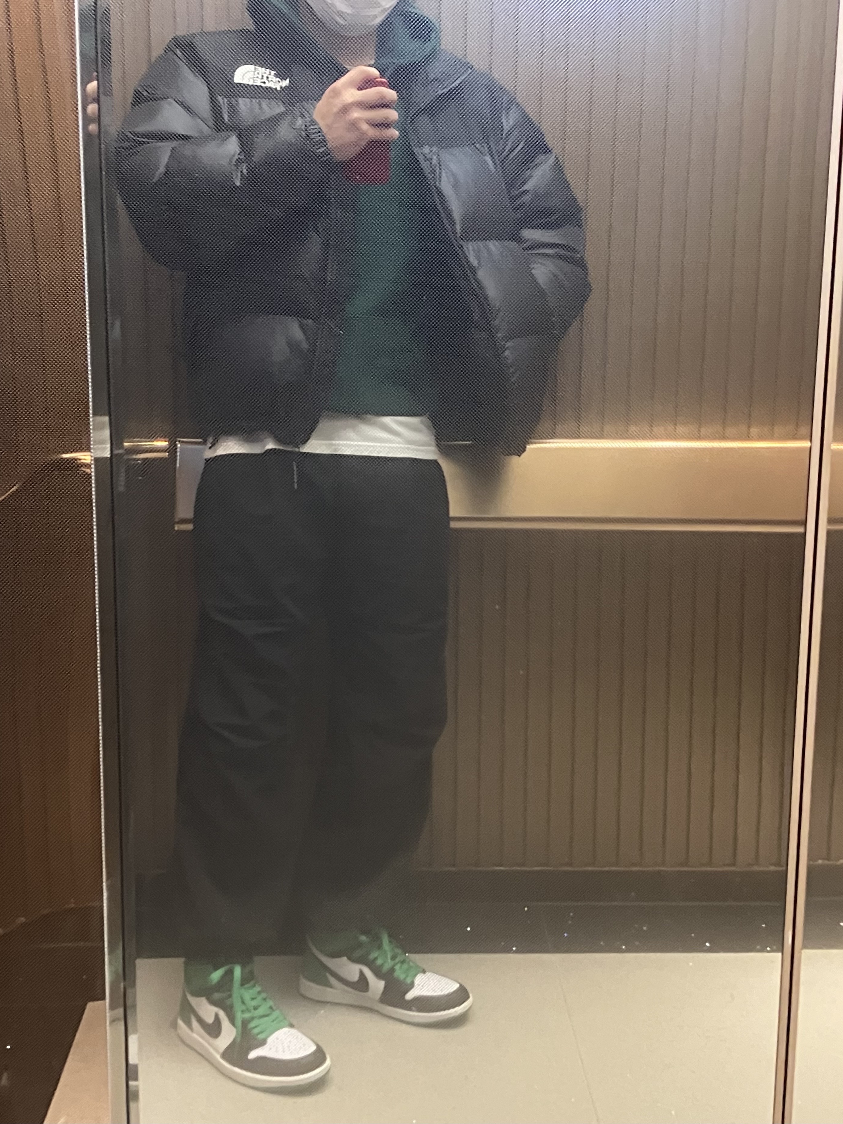 Jordan 1 Retro High OG Black and Lucky Green, The North Face On Ball Jacket Black 착용 스타일 - 1