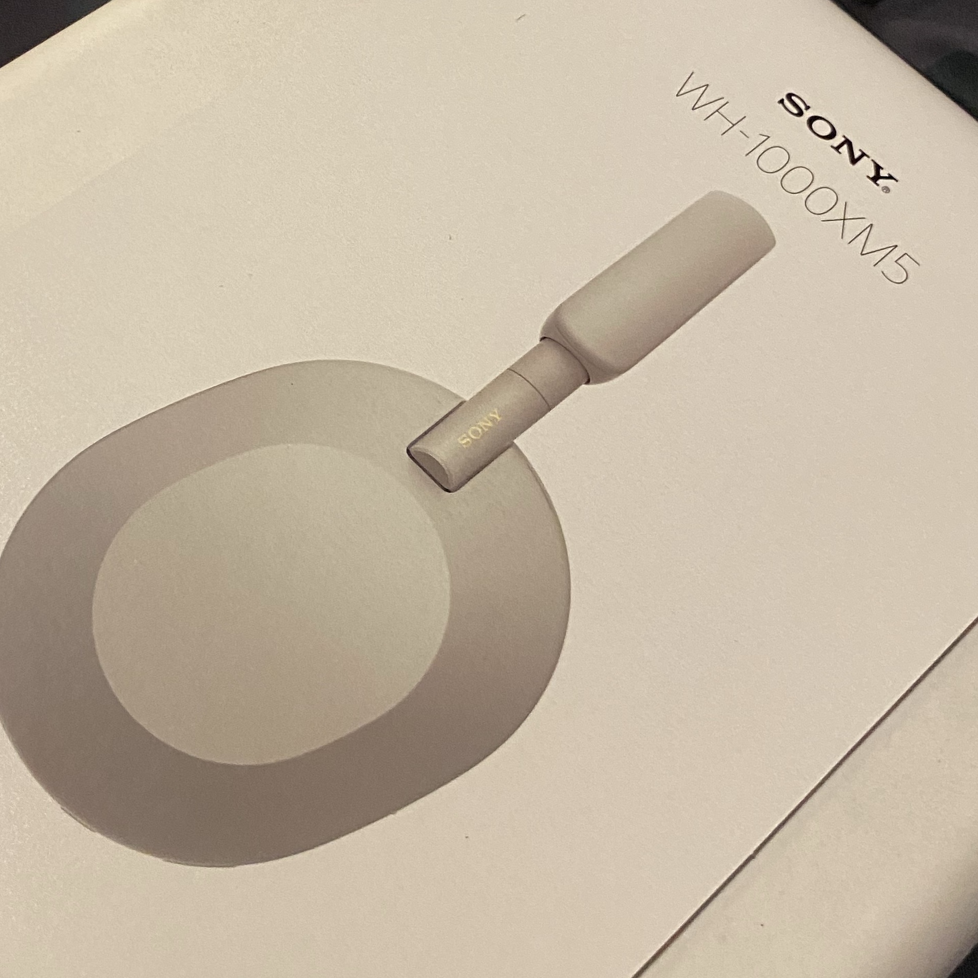Sony WH-1000XM5 Silver (Korean Ver.) 착용 스타일