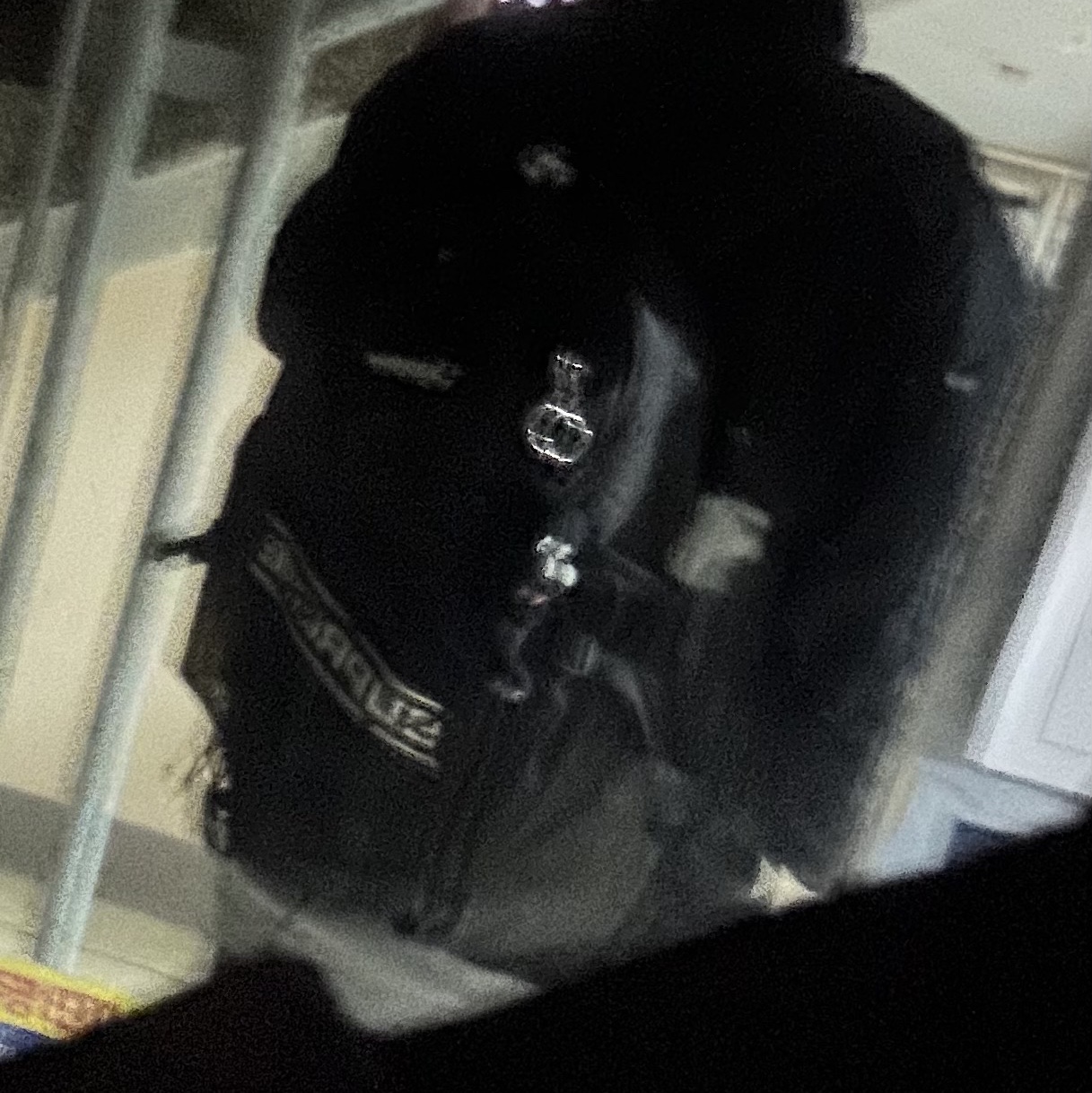Supreme Backpack Black - 23FW 착용 스타일