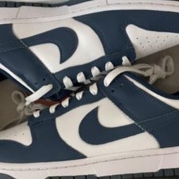 Nike Dunk Low Retro Valerian Blue 착용 스타일
