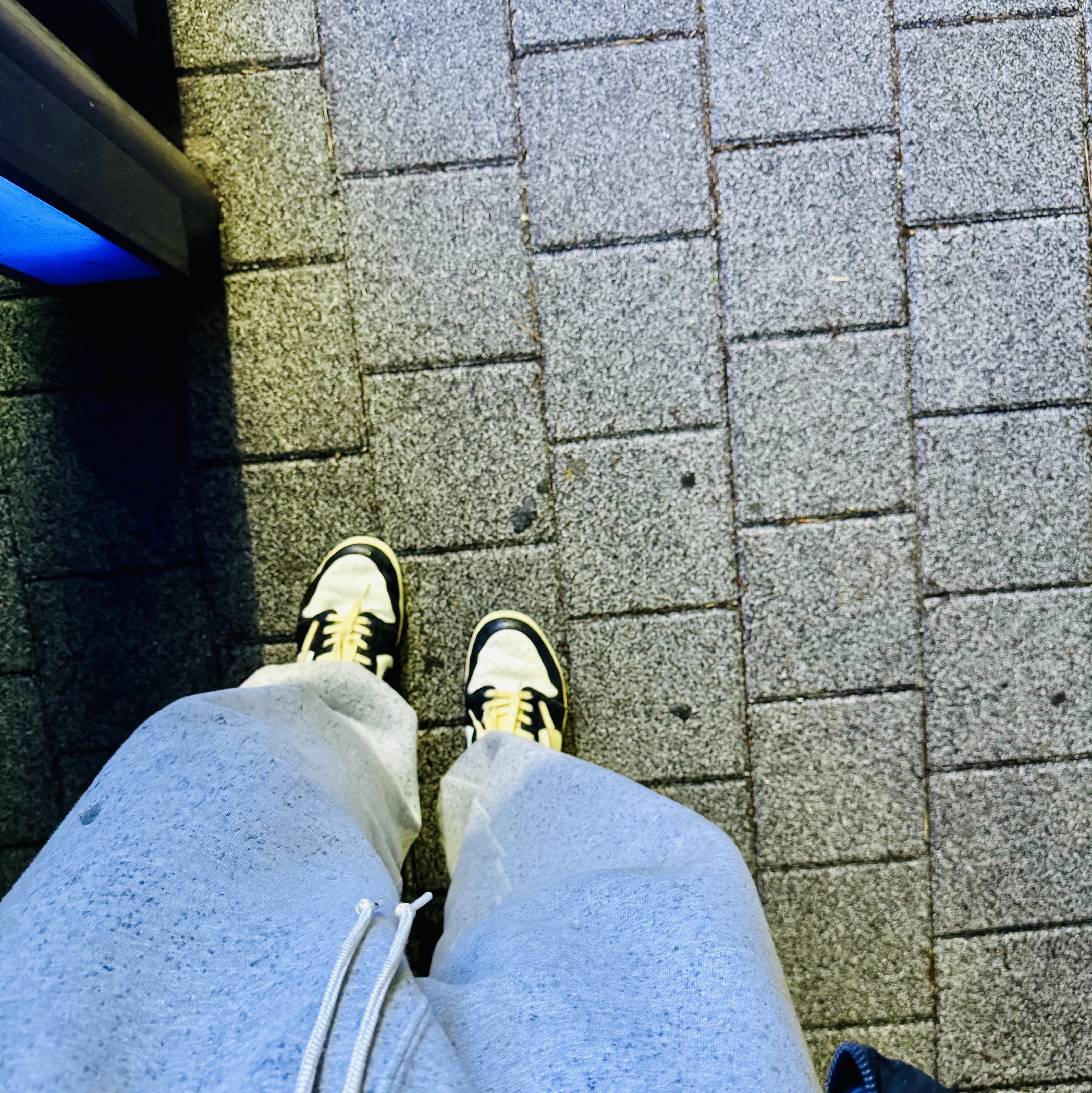 Jordan 1 x Travis Scott x Fragment Retro Low OG SP Military Blue 착용 스타일