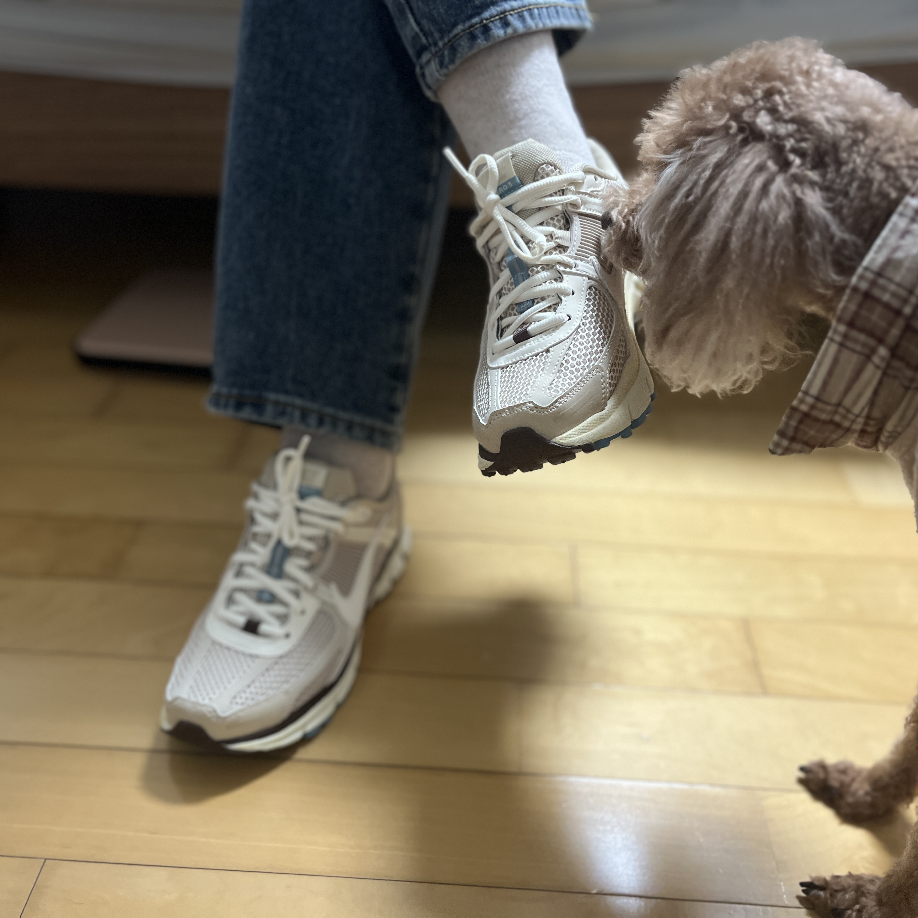 (W) Nike Zoom Vomero 5 Oatmeal 착용 스타일 - 1
