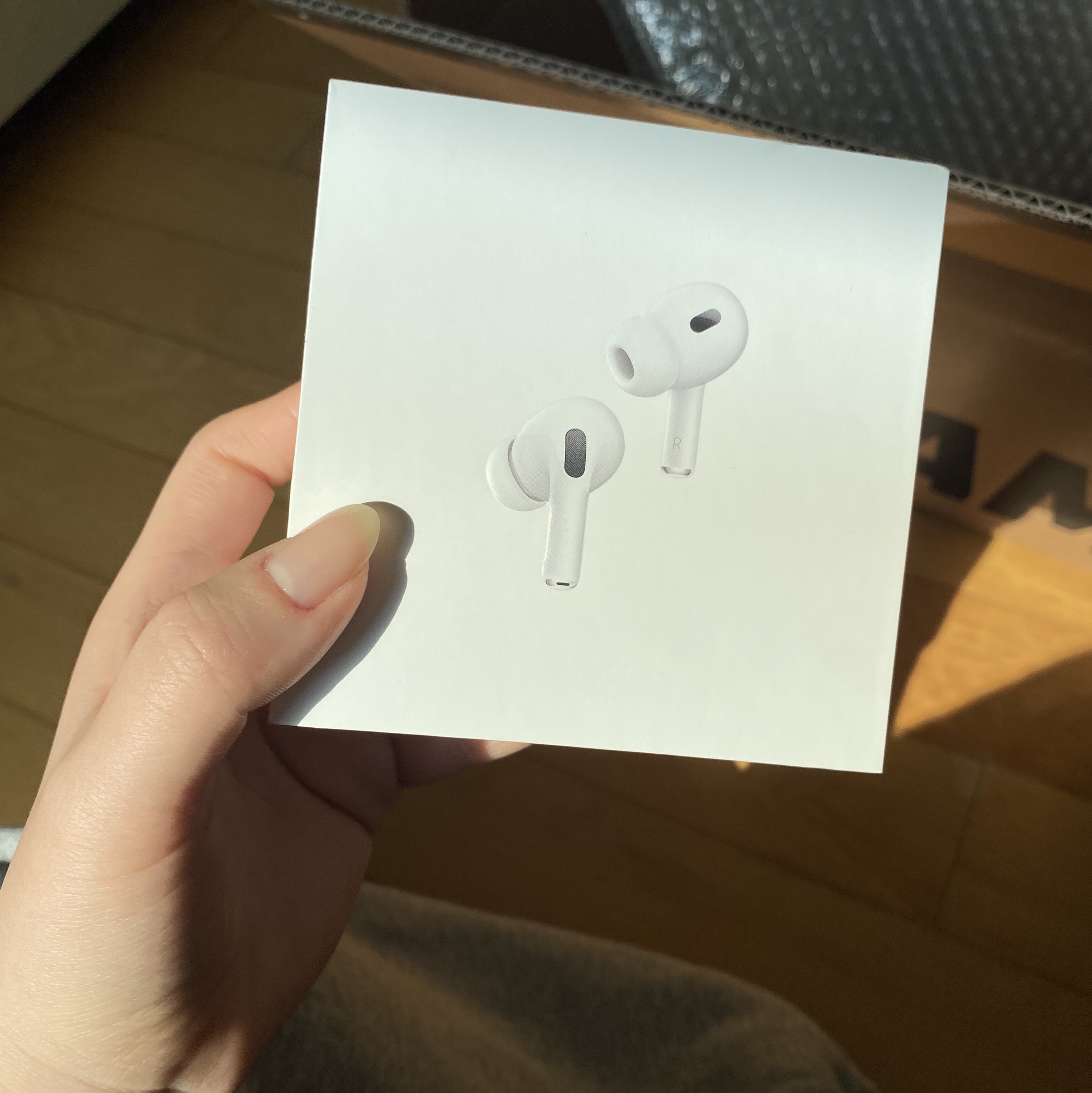 Apple Airpods Pro 2nd Gen with MagSafe Charging Case USB C (Korean Ver.) 착용 스타일