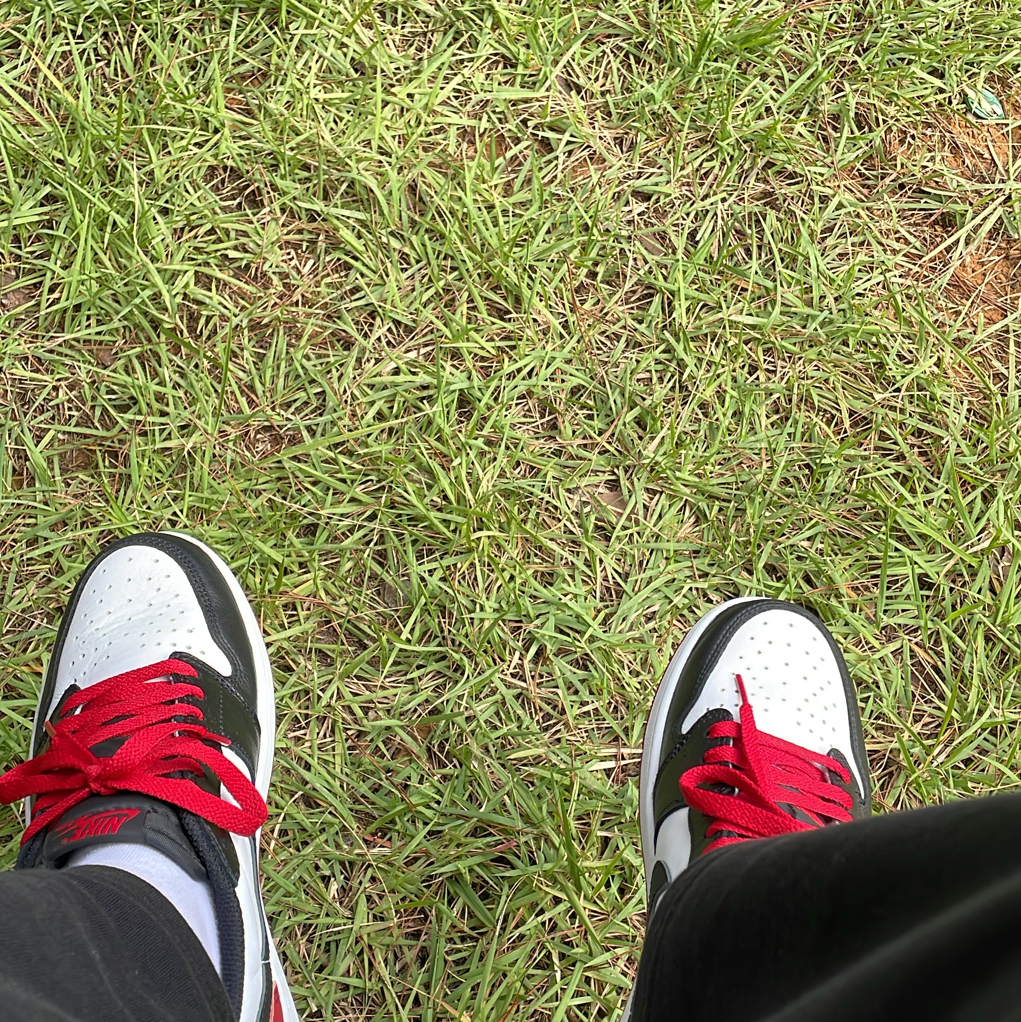 Jordan 1 Retro Low OG Black Toe 착용 스타일 - 2