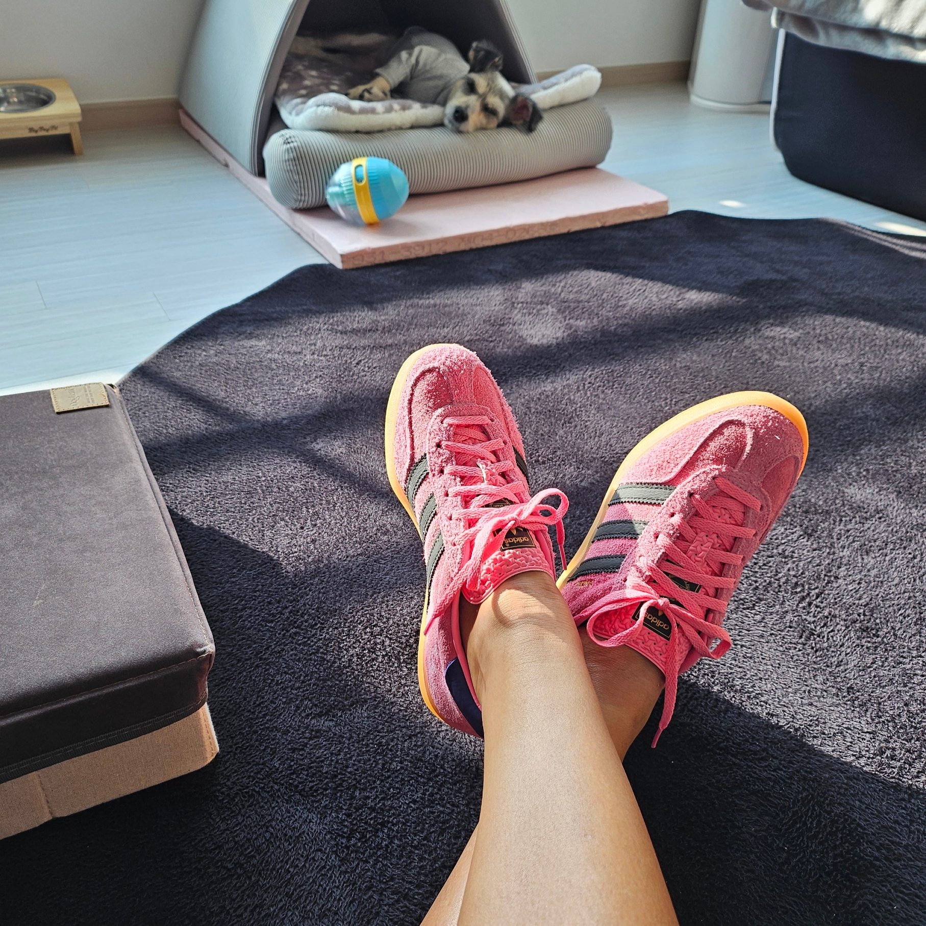 (W) Adidas Gazelle Indoor Bliss Pink 착용 스타일