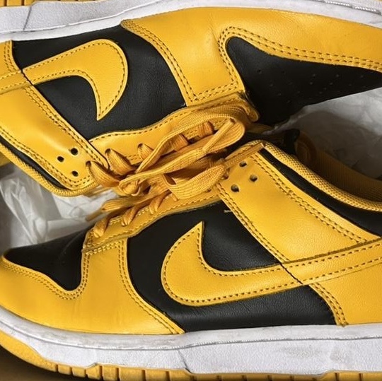 Nike Dunk Low Retro Championship Goldenrod 착용 스타일