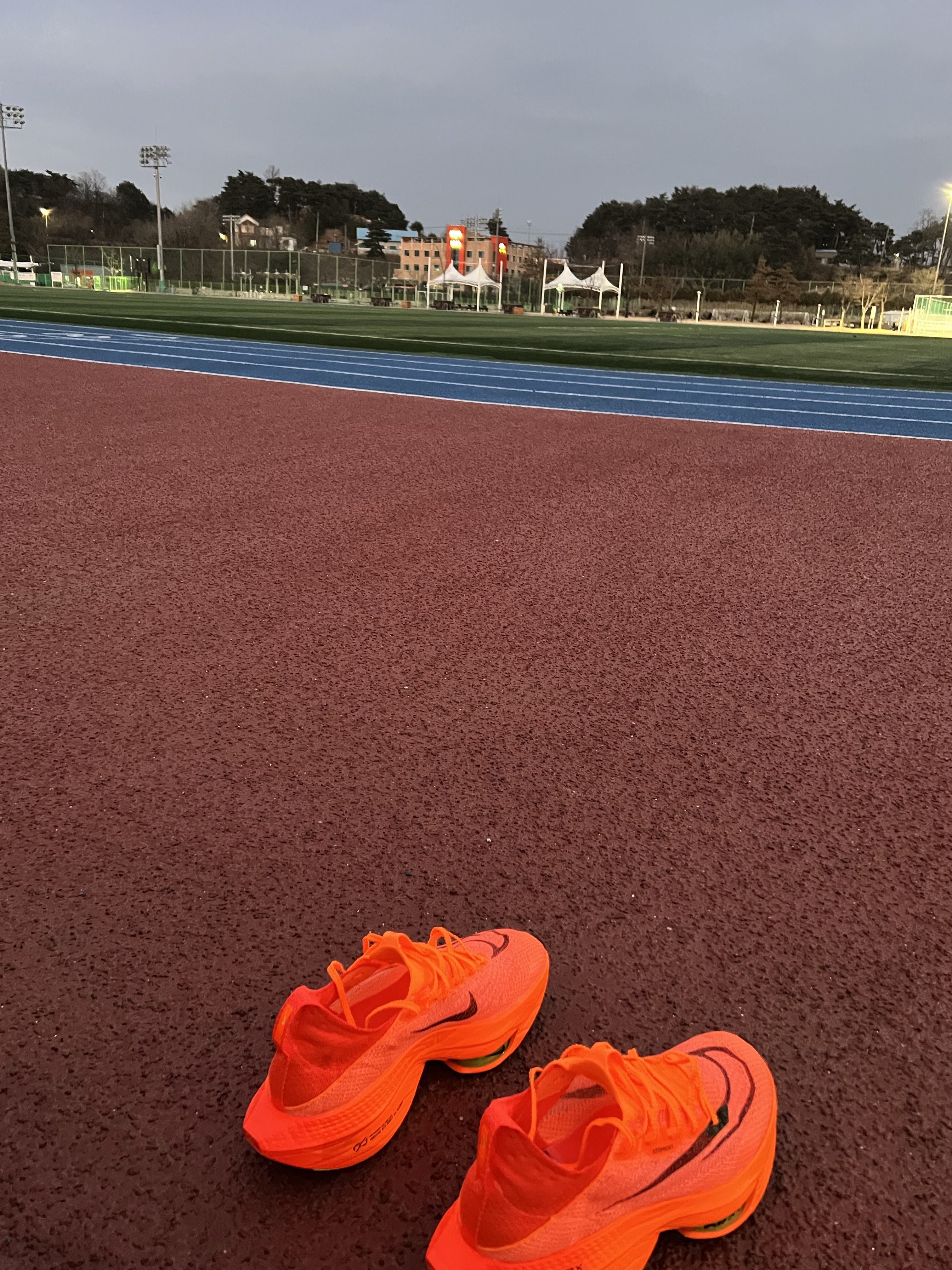 Nike Air Zoom Alphafly Next% 2 Total Orange 착용 스타일