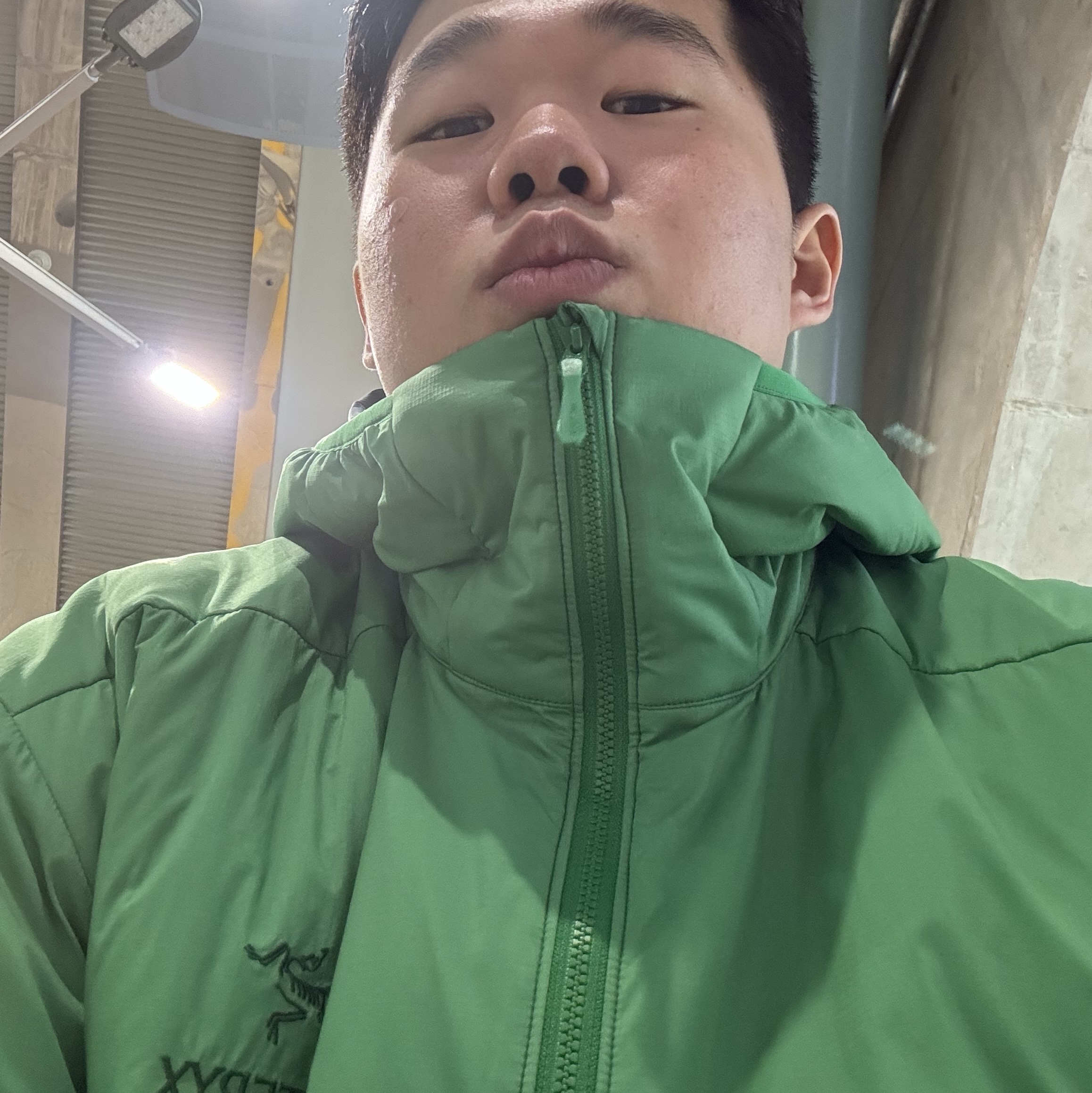 Arc'teryx Atom LT Hoody Jungle 착용 스타일