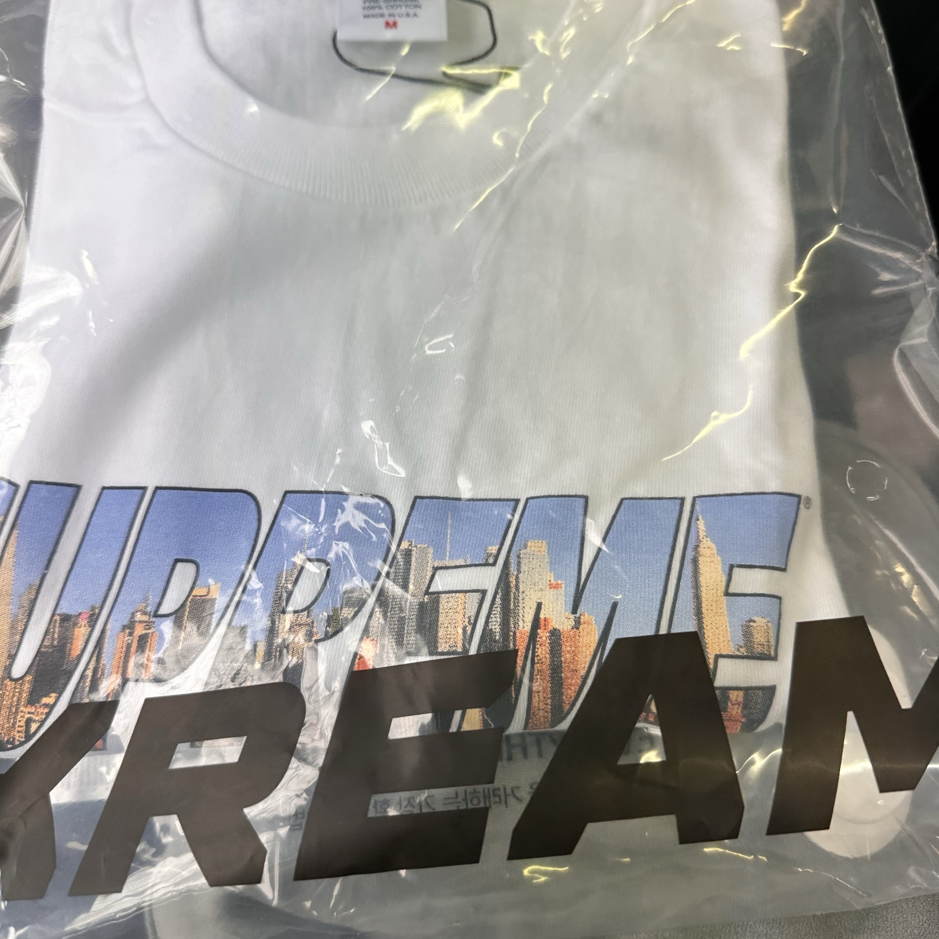 Supreme Gotham T-Shirt White - 23FW 착용 스타일