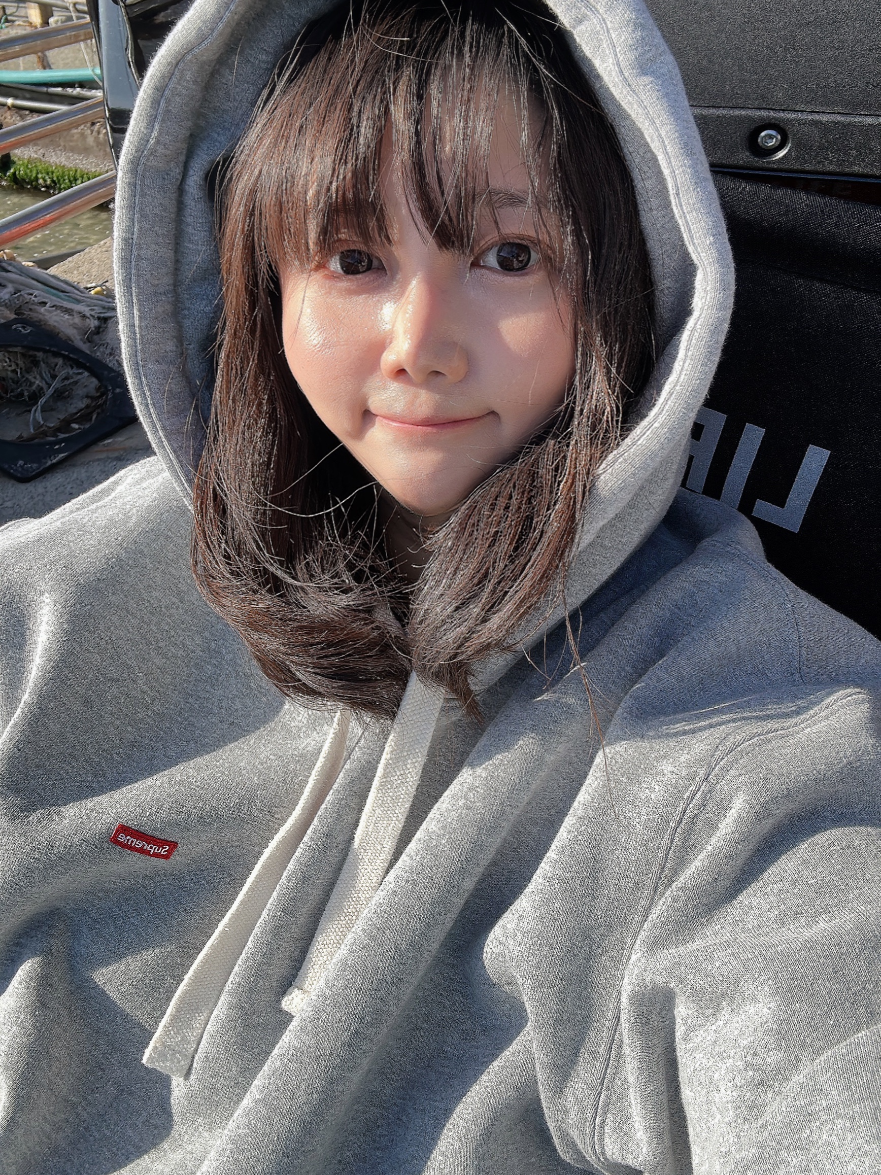 Supreme Small Box Drawcord Hooded Sweatshirt Heather Grey - 23FW 착용 스타일 - 1