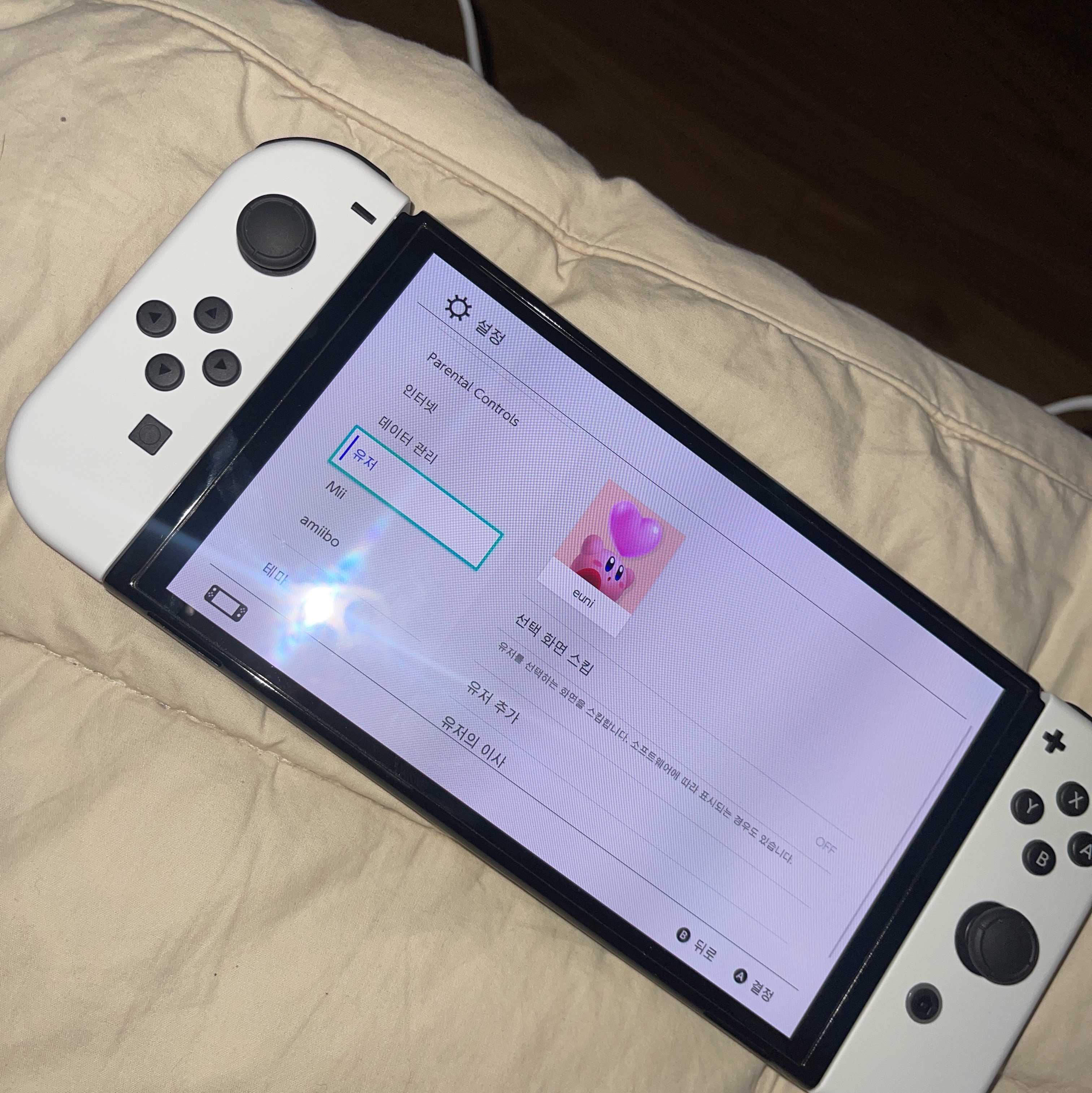 Nintendo Switch OLED White (Korean Ver.) 착용 스타일