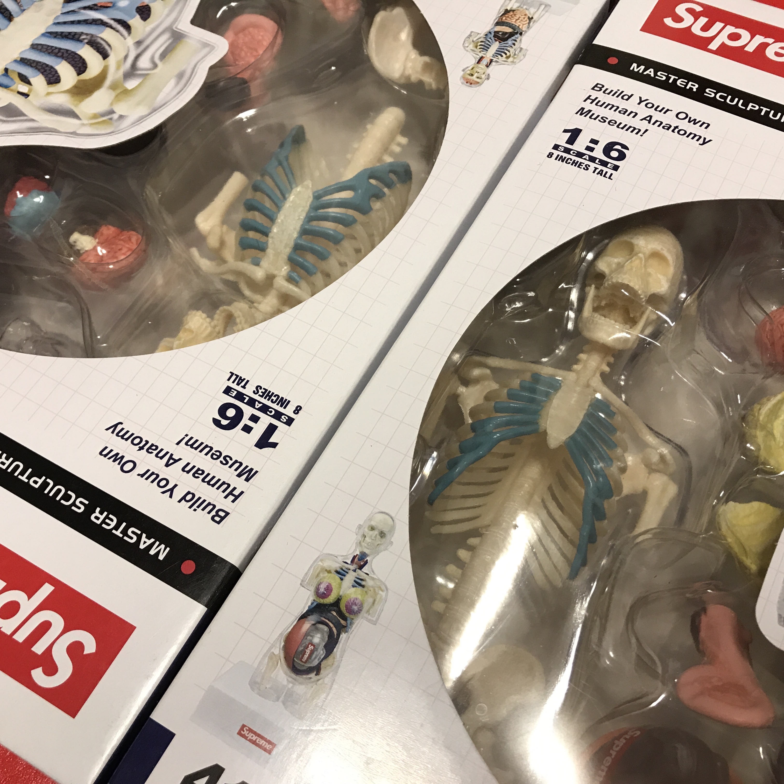 Supreme Male Anatomy Model Clear - 18FW, Supreme Female Anatomy Model Clear - 18FW 착용 스타일