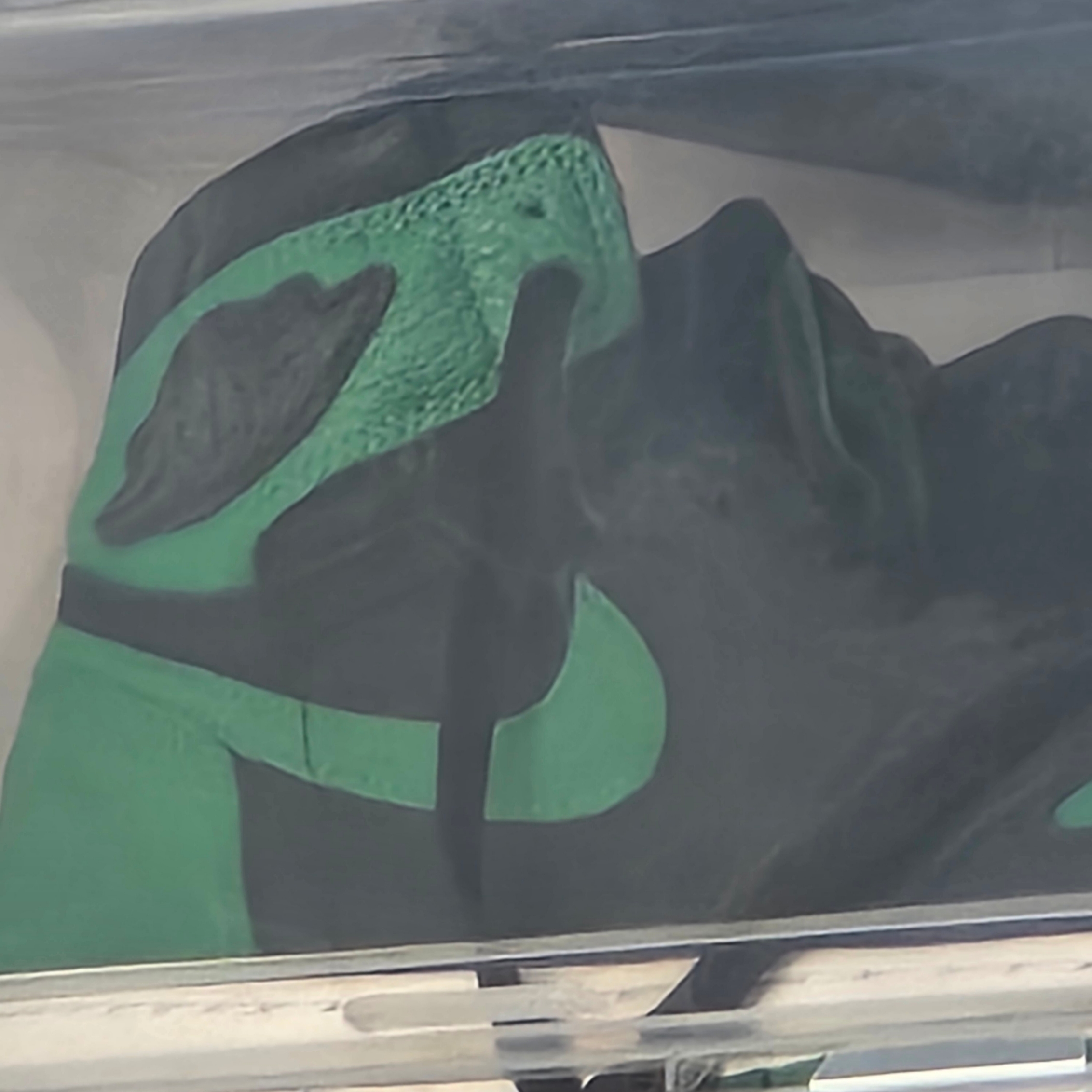 Jordan 1 Retro High OG Pine Green Black 착용 스타일