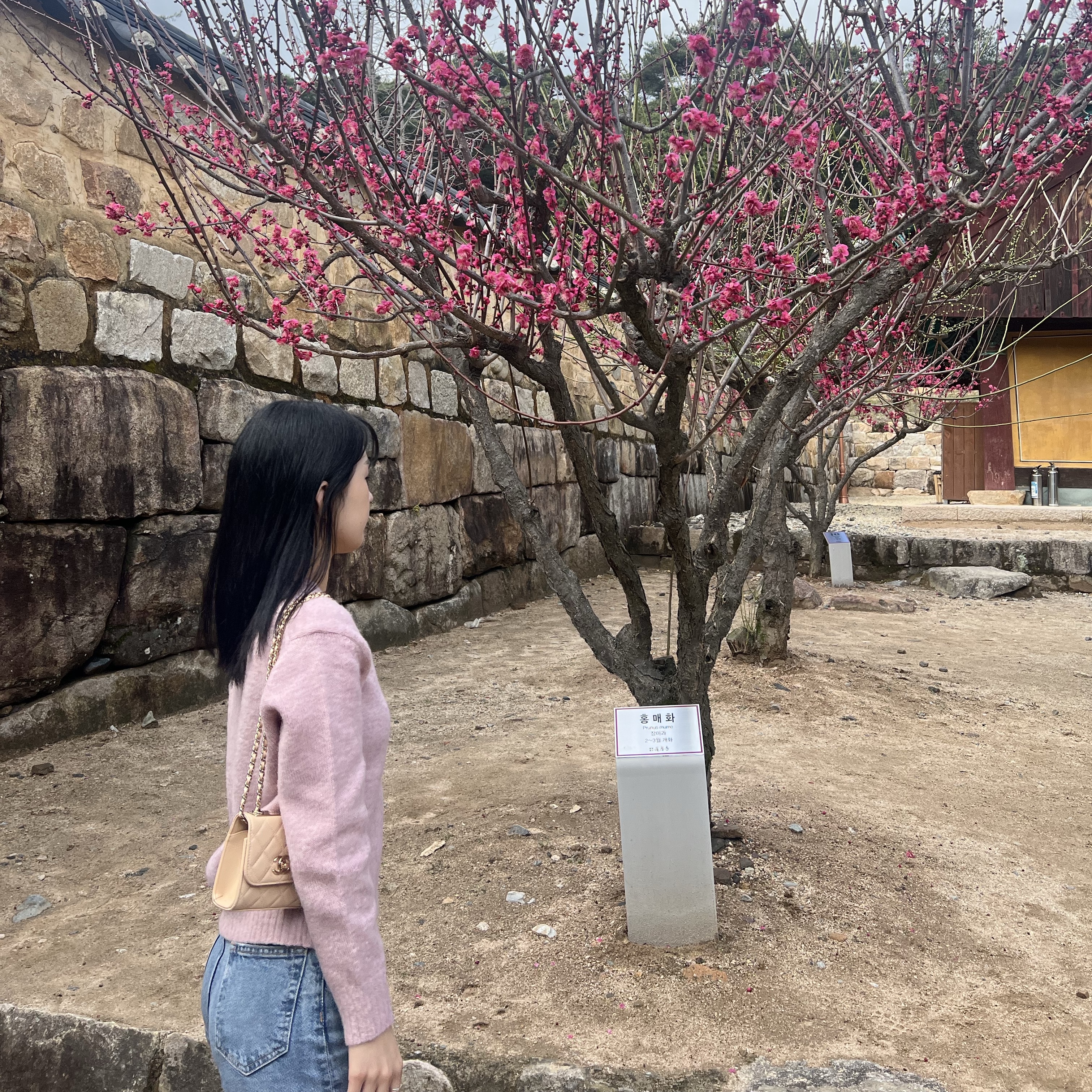 KREAM 스타일 - 2