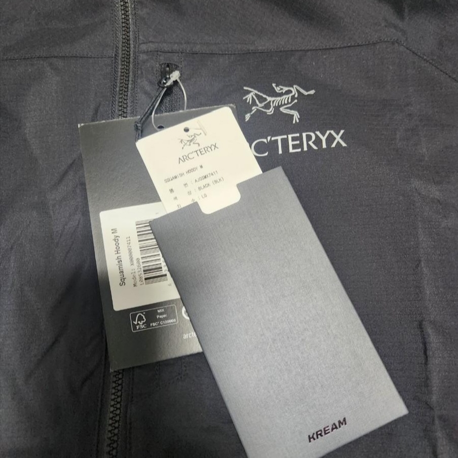 Arc'teryx Squamish Hoody Black 착용 스타일
