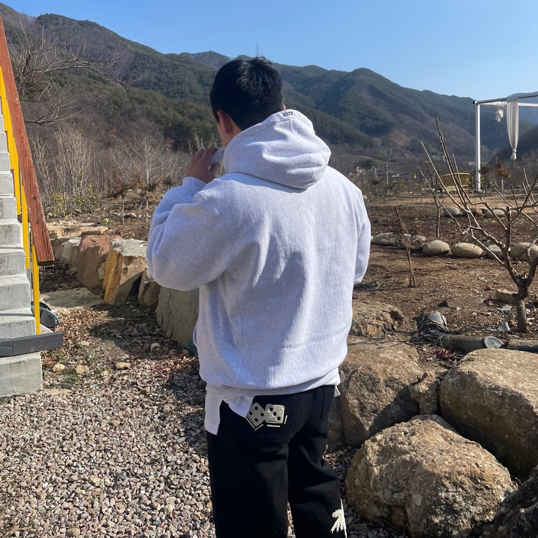 Supreme Box Logo Hooded Sweatshirt Ash Grey - 23FW, Stussy Noma Icon Beach Pants Washed Black 착용 스타일