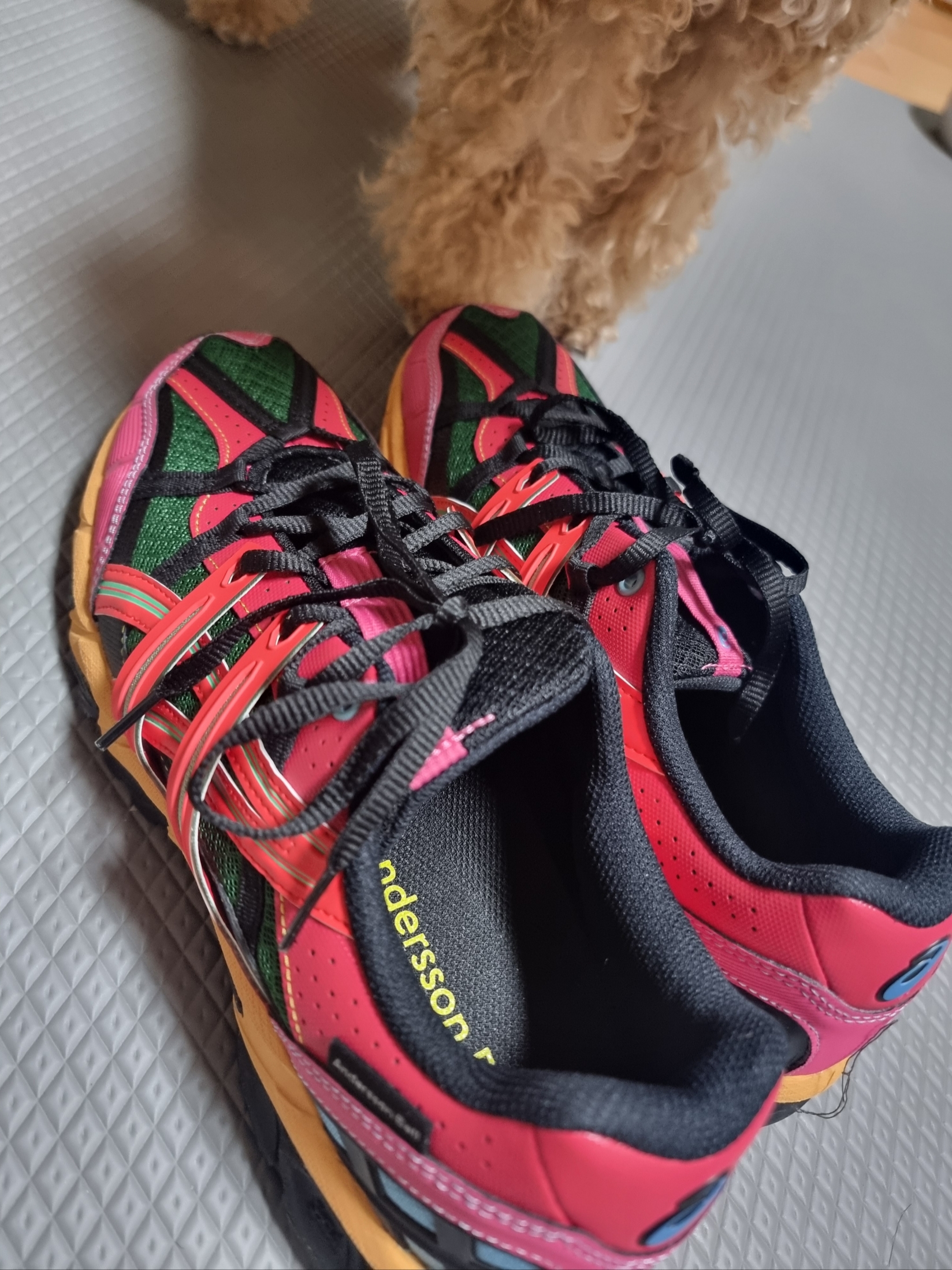 Asics x Andersson Bell Gel-Sonoma 15-50 Bright Rose Evergreen 착용 스타일