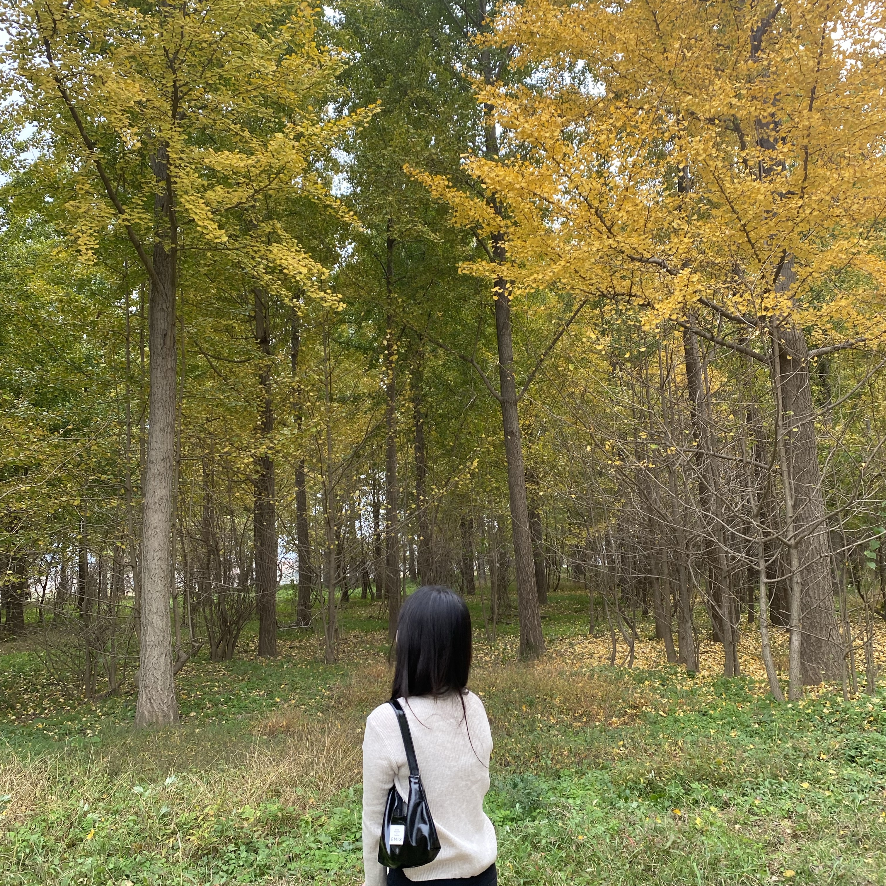 Emis New Enamel Hobo Bag Black 착용 스타일