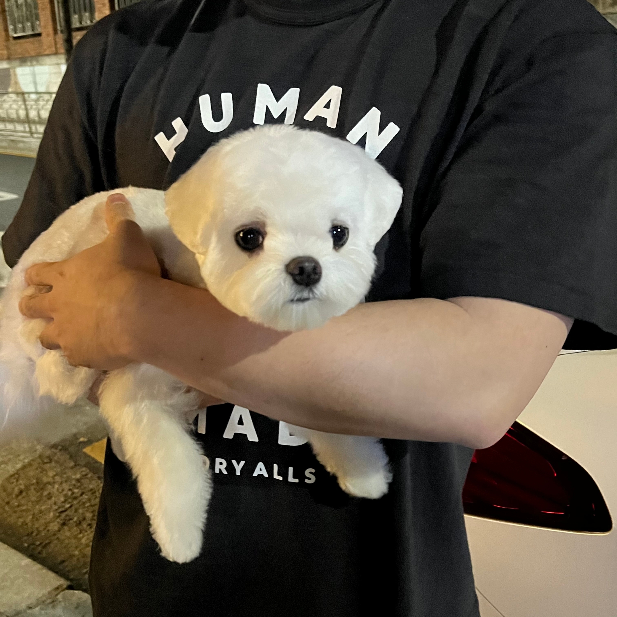 Human Made Worksout 20th Anniversary Jindo Dog Graphic T-Shirt Black 착용 스타일 - 1