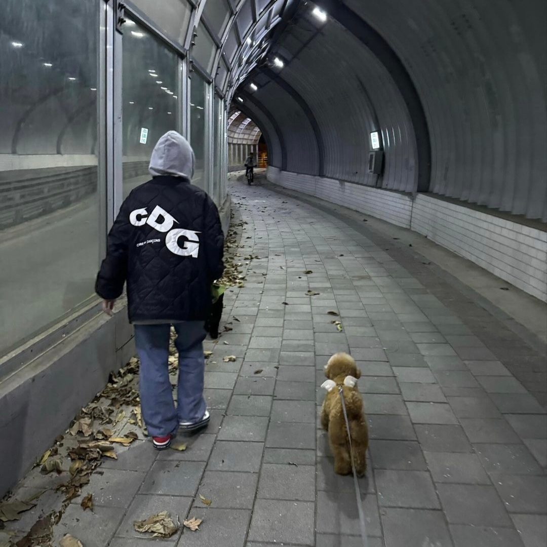 CDG x Alpha Industries Liner Jacket Black 착용 스타일