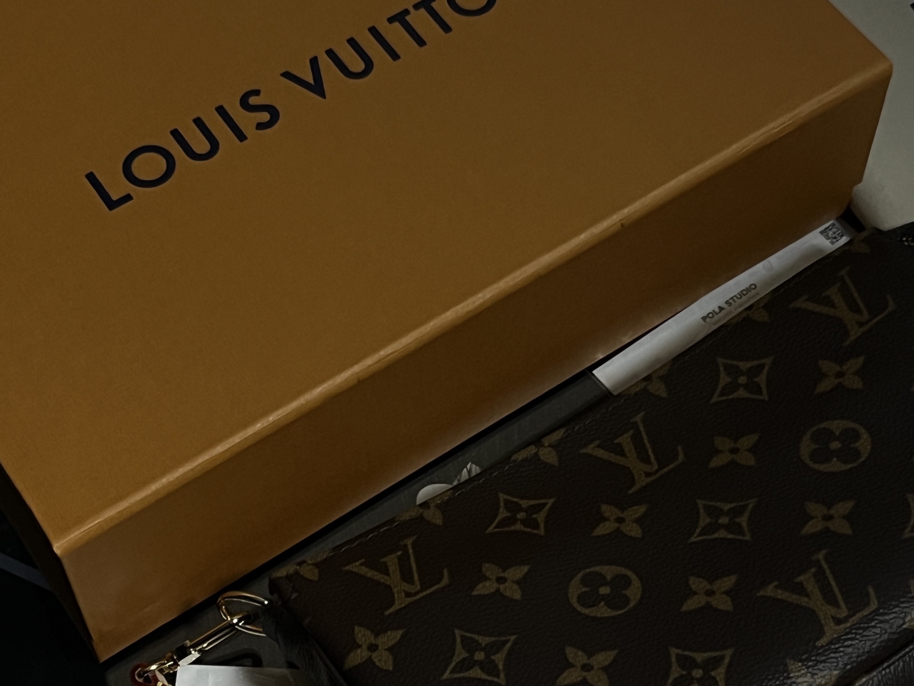 Louis Vuitton Pochette Accessoires NM Monogram 착용 스타일
