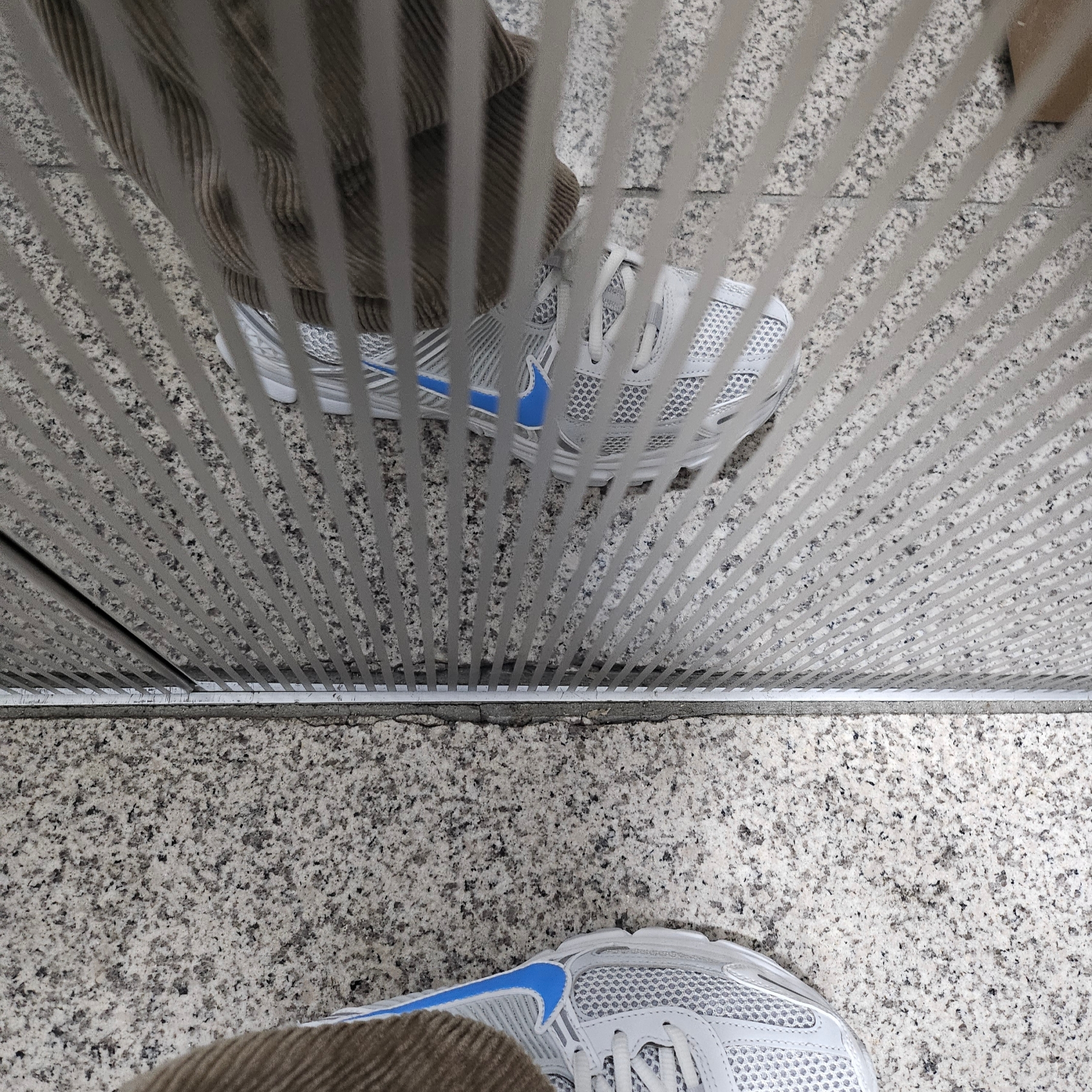 Nike Zoom Vomero 5 Photon Dust and University Blue 착용 스타일