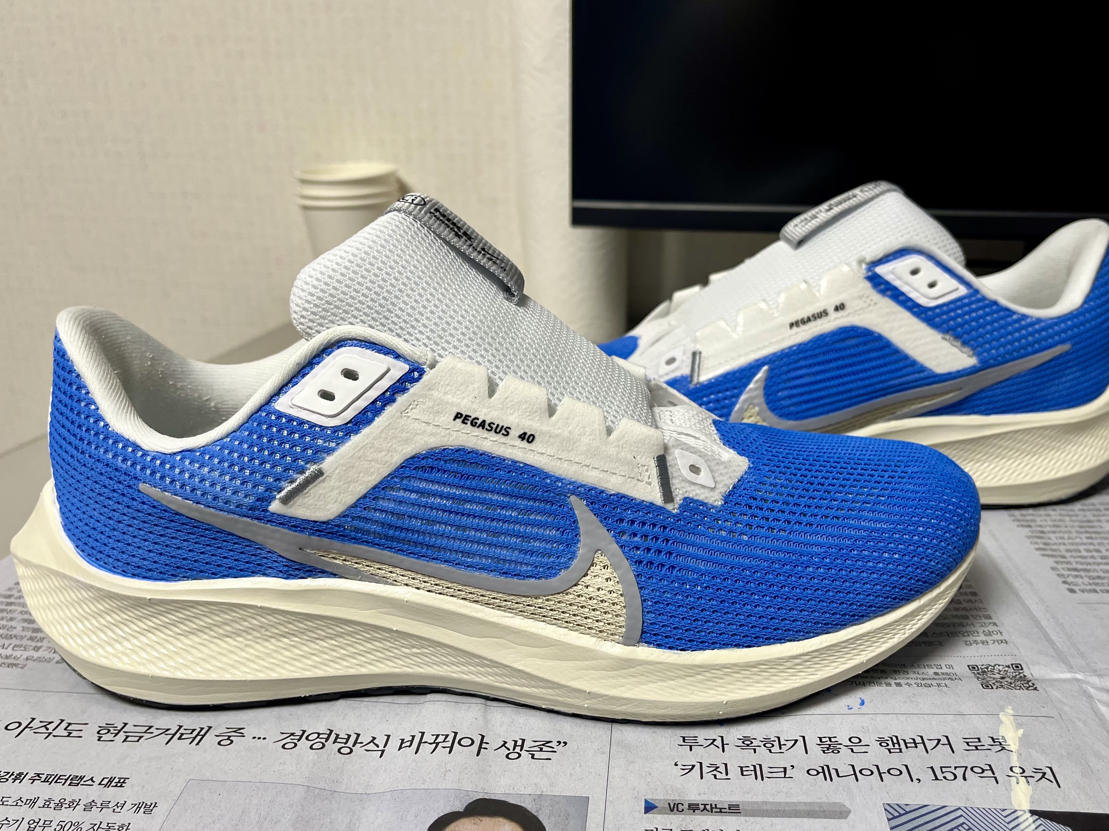 Nike Air Zoom Pegasus 40 White Wolf Grey 착용 스타일 - 1