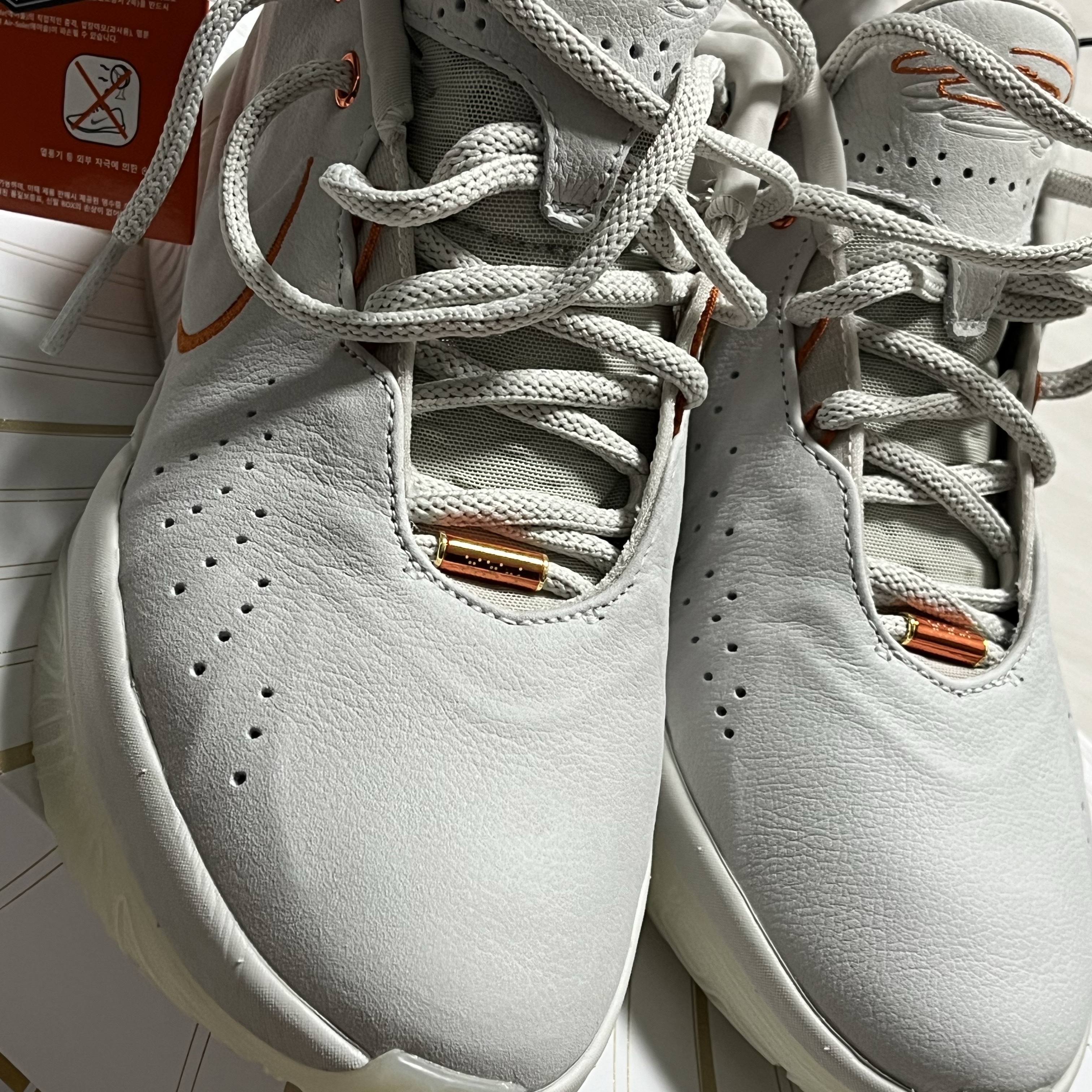 Nike Lebron 21 EP Akoya Light Bone 착용 스타일